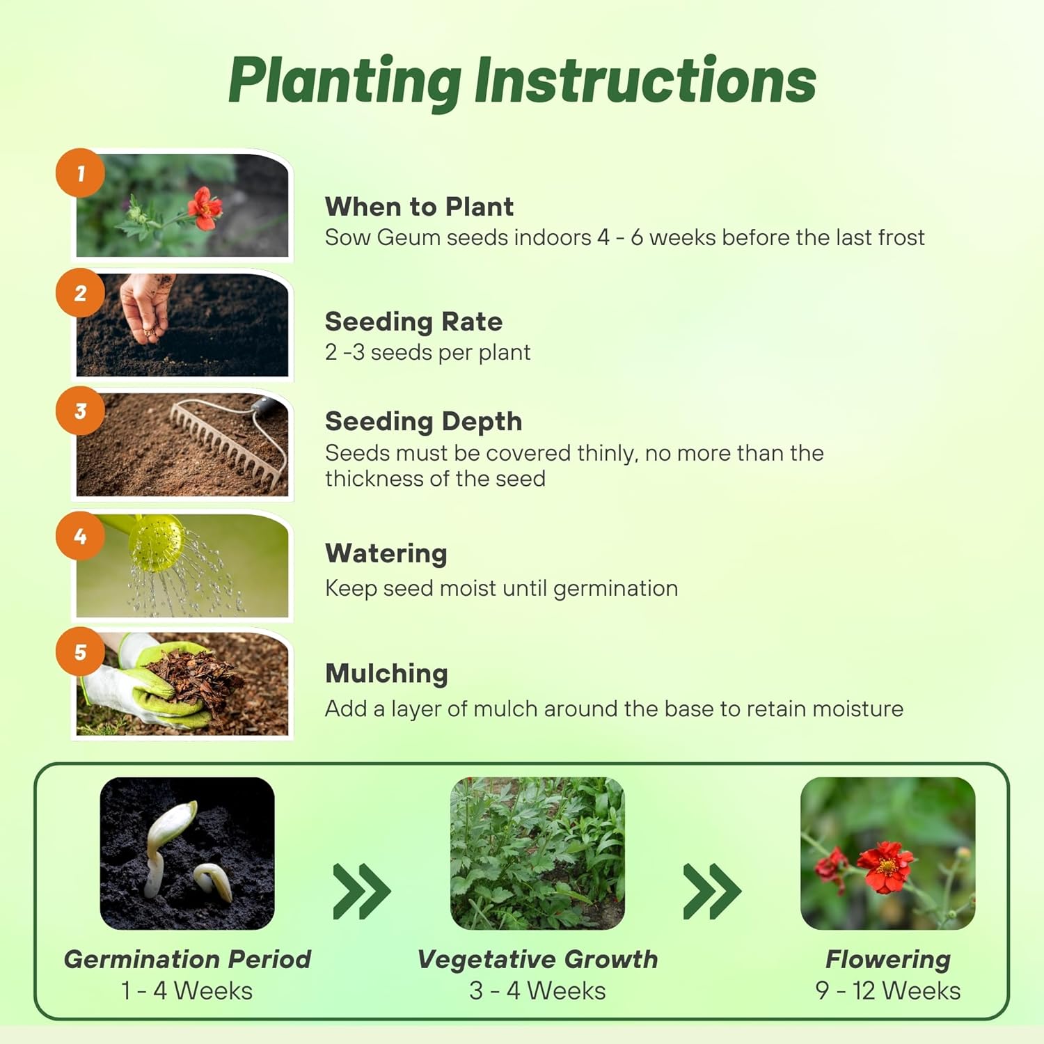 Geum Mrs. Bradshaw Flower Seed Planting Directions