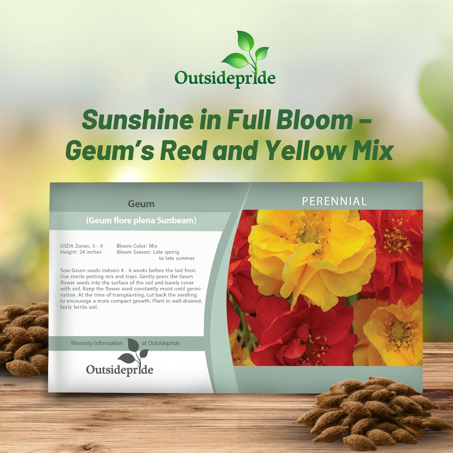 Geum Sunbeam Flower Seed Packet