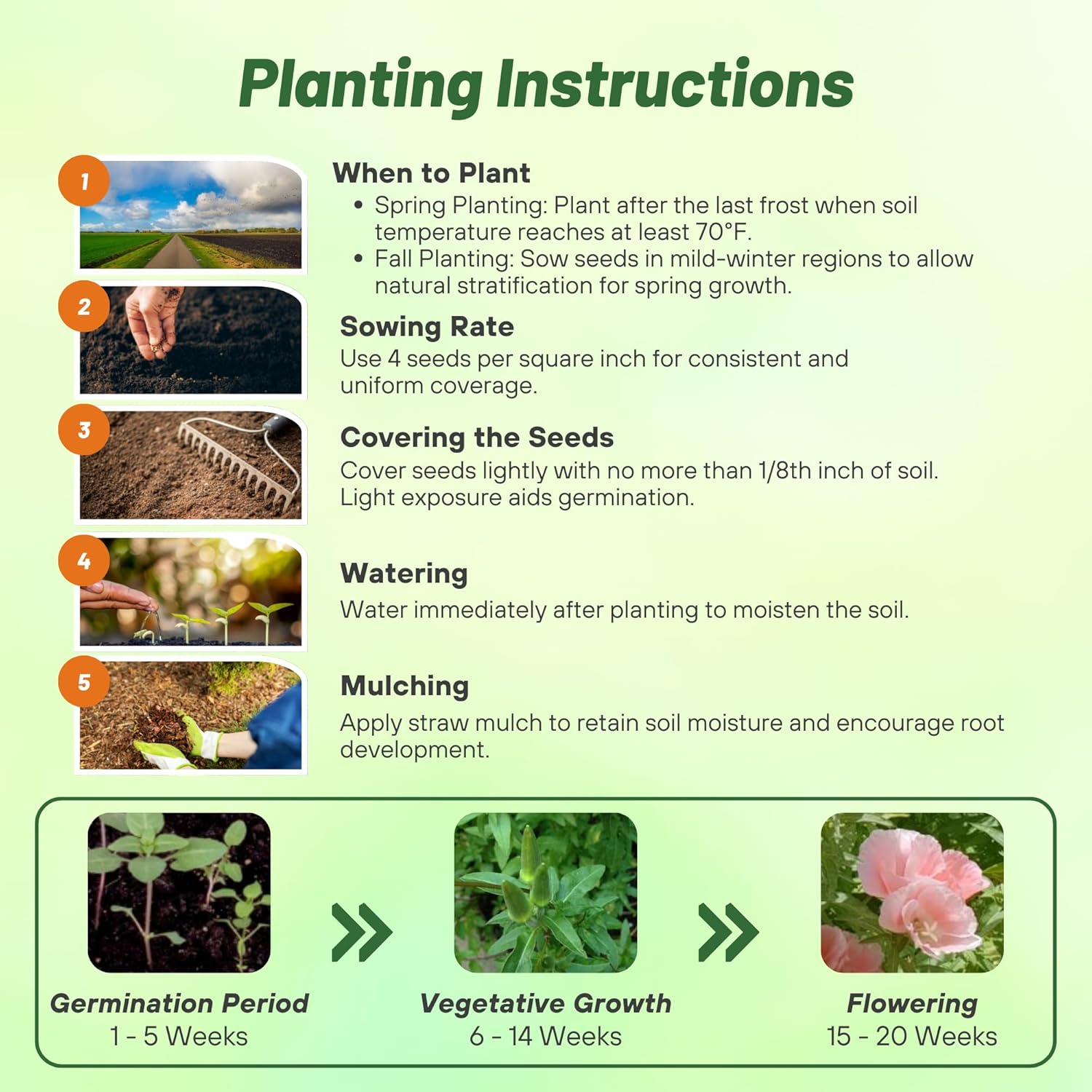 Godetia Sybil Flower Seed Planting Directions