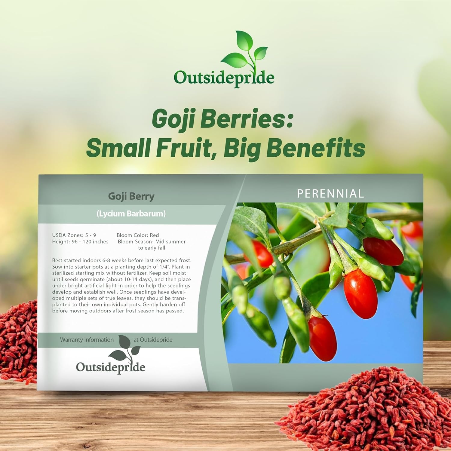 Goji Berry Fruit Seed Packet