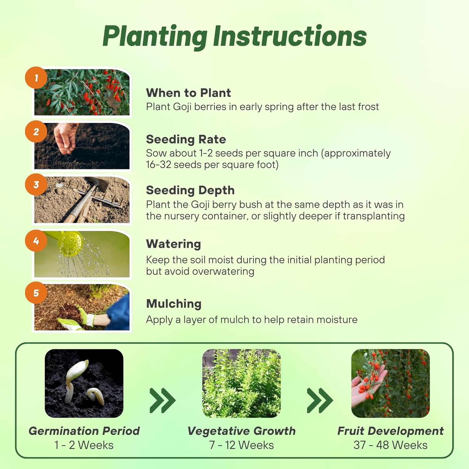 Goji Berry Fruit Seed Planting Directions