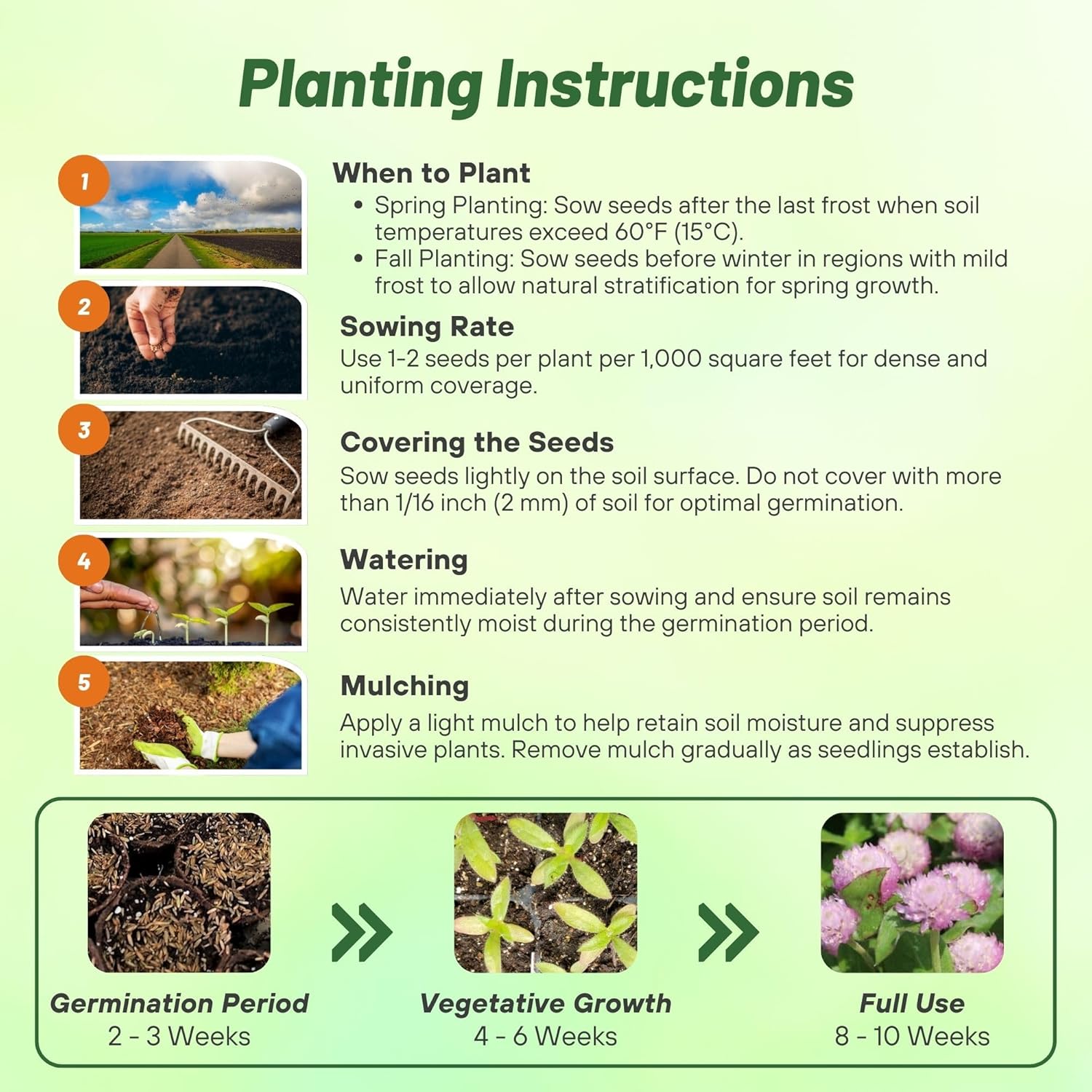 Gomphrena Globosa Salmon Planting Directions