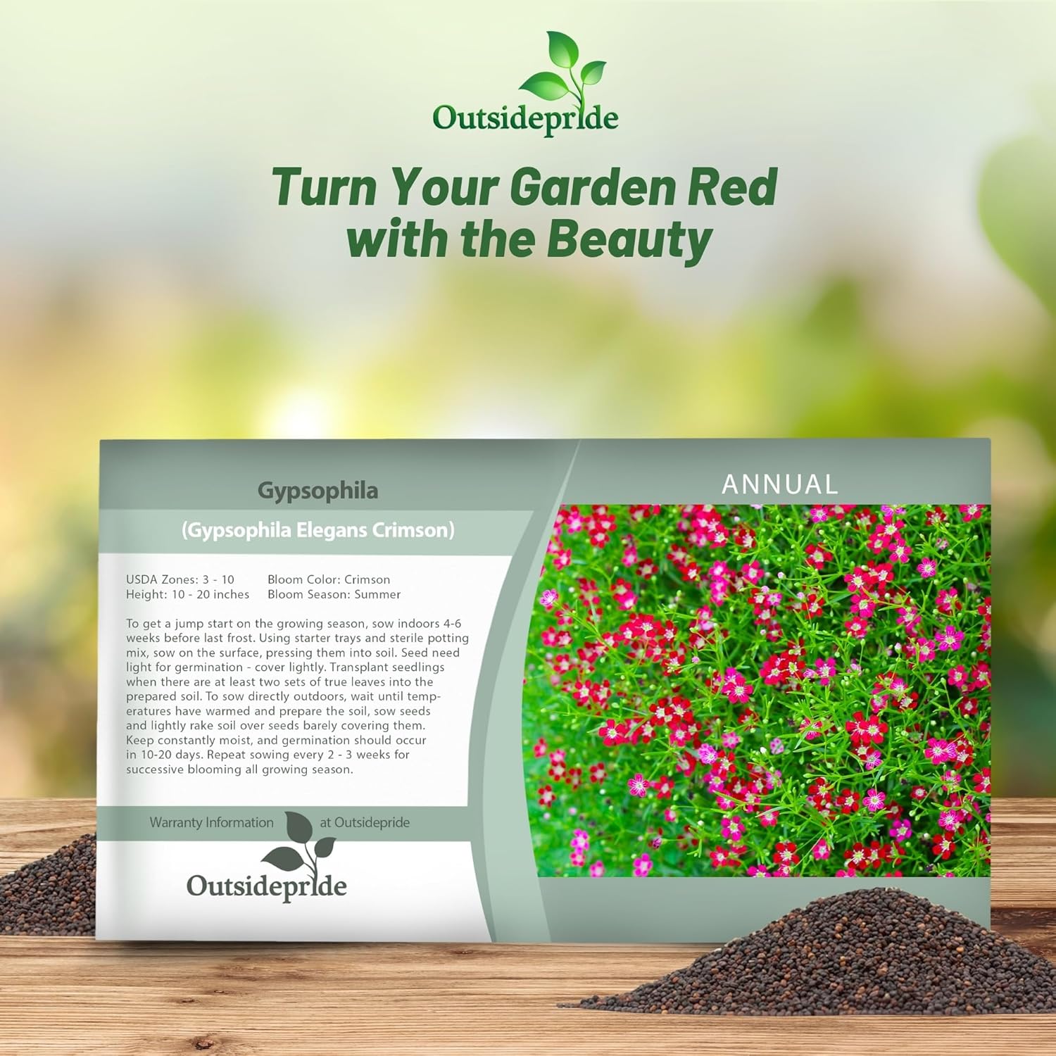 Gypsophila Crimson Flower Seed Packet