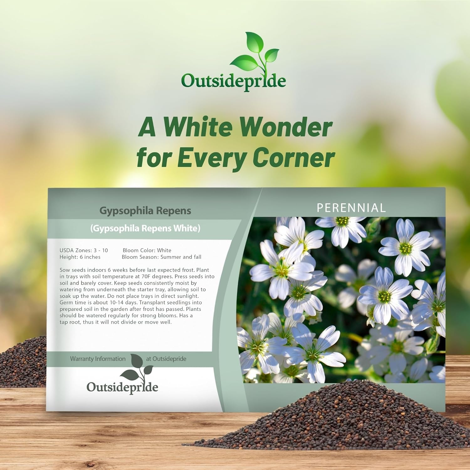 Gypsophila White Flower Seed Packet