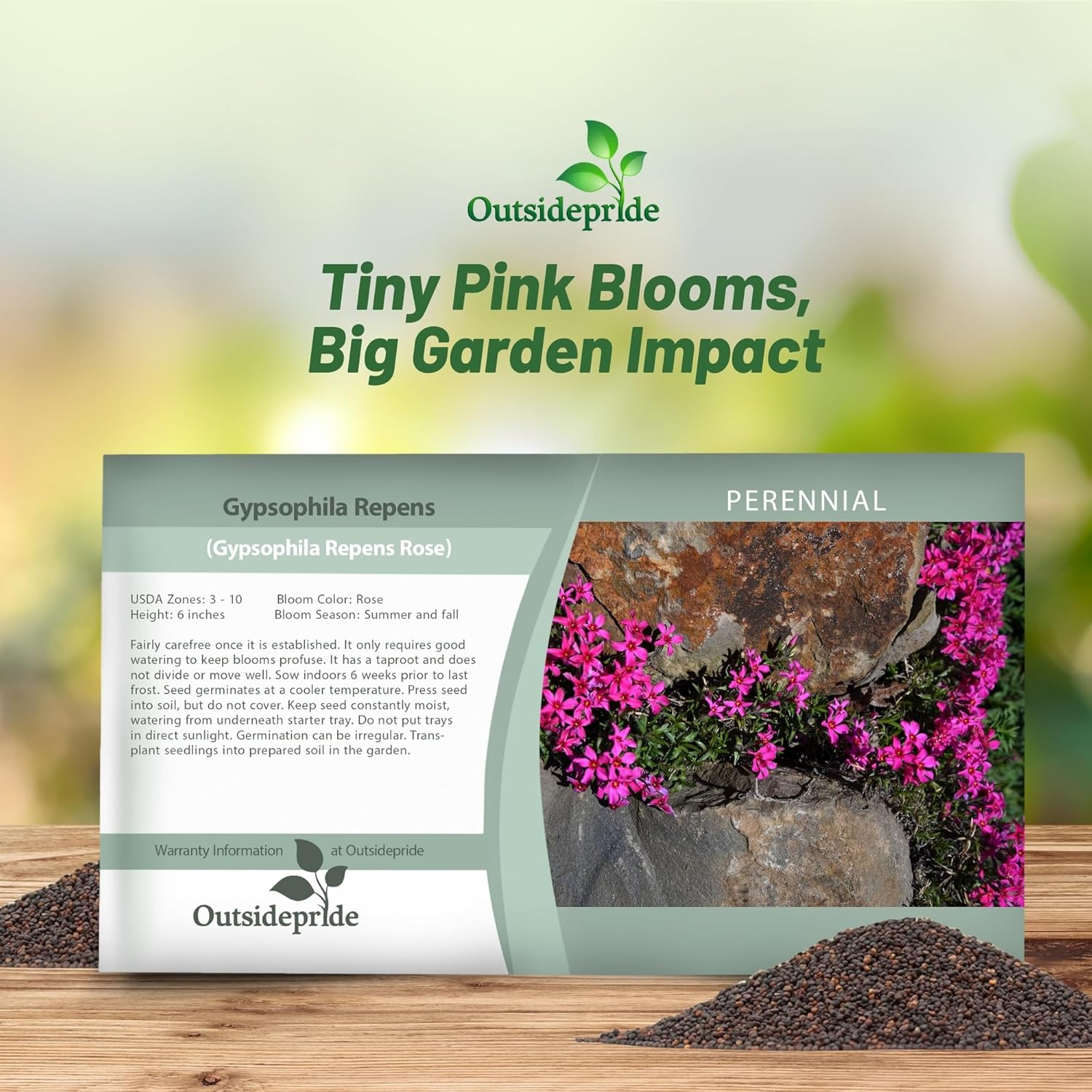 Gypsophila Rose Flower Seed Packet