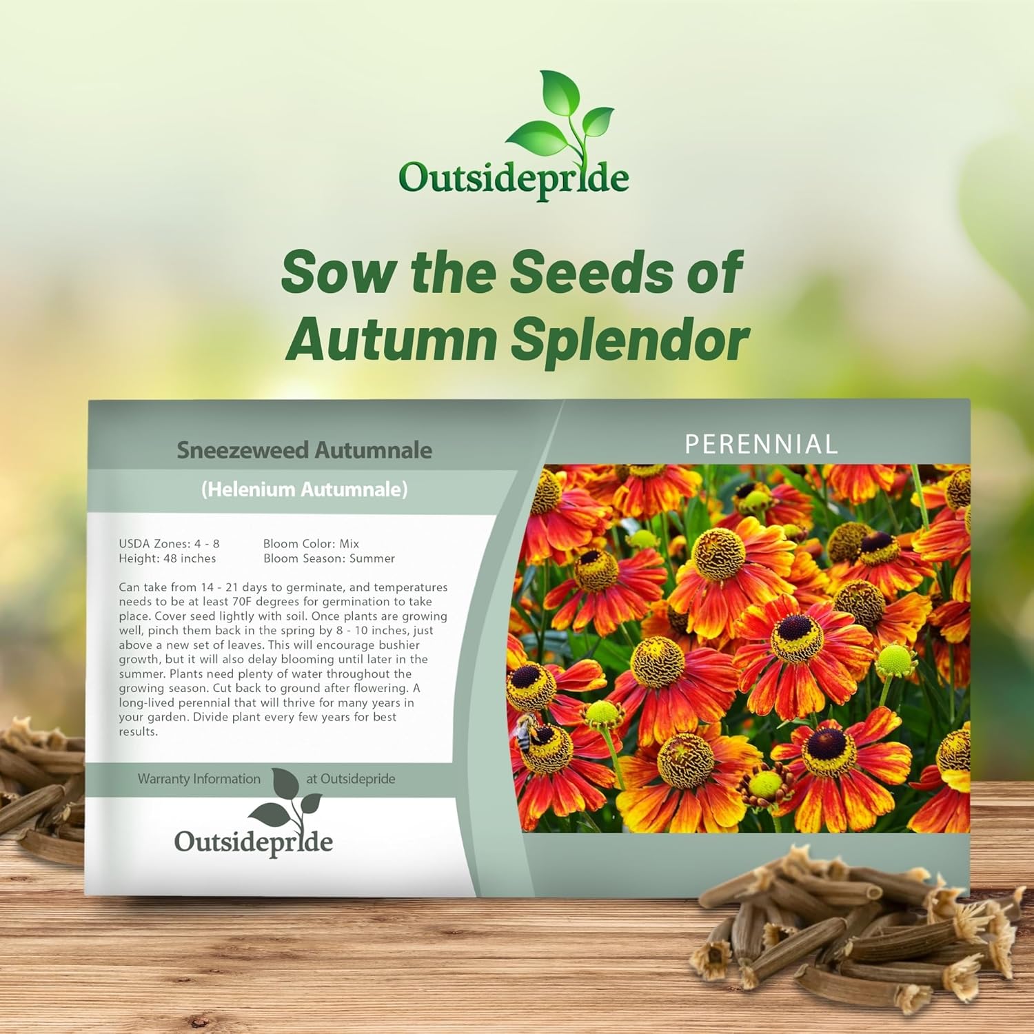 Helenium Autumnale Flower Seed Packet