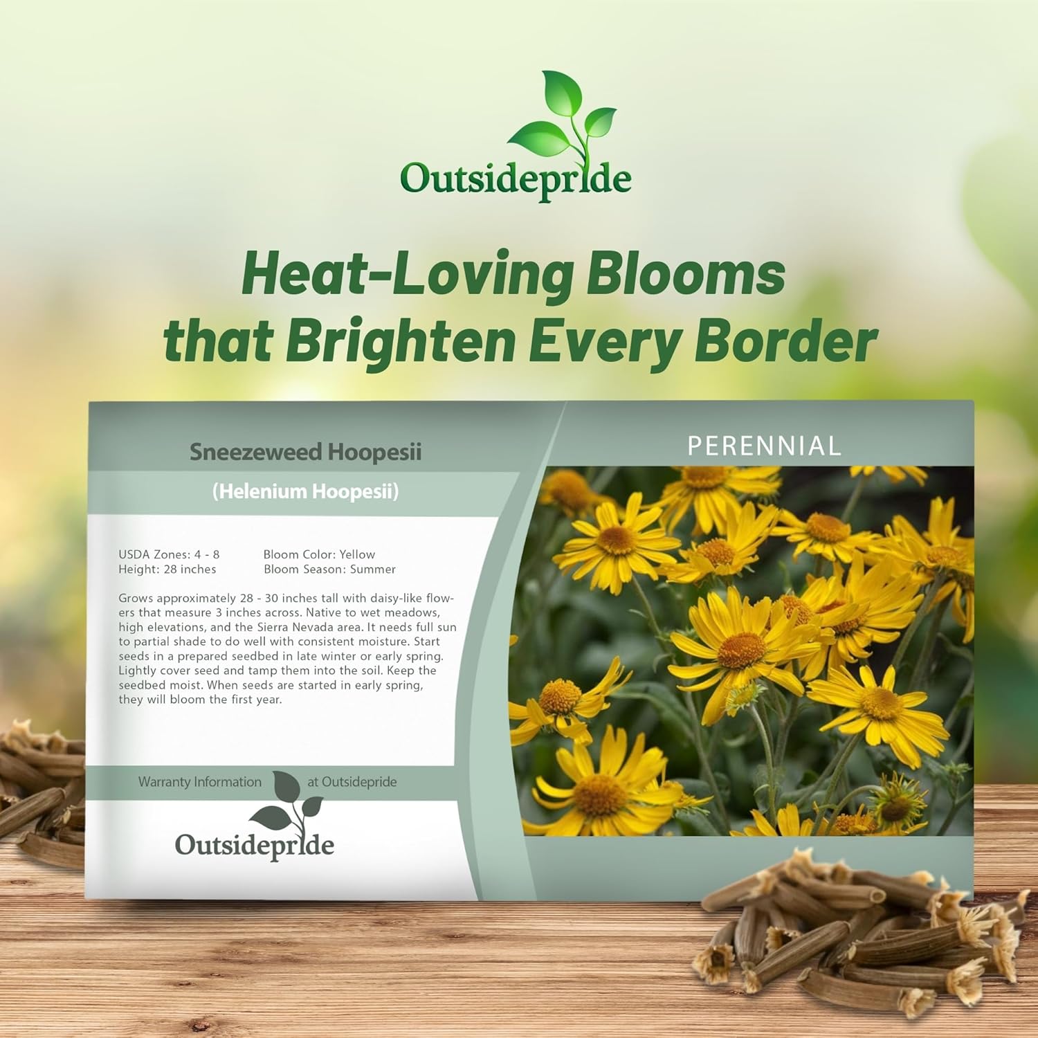 Helenium Hoopesii Flower Seed Packet