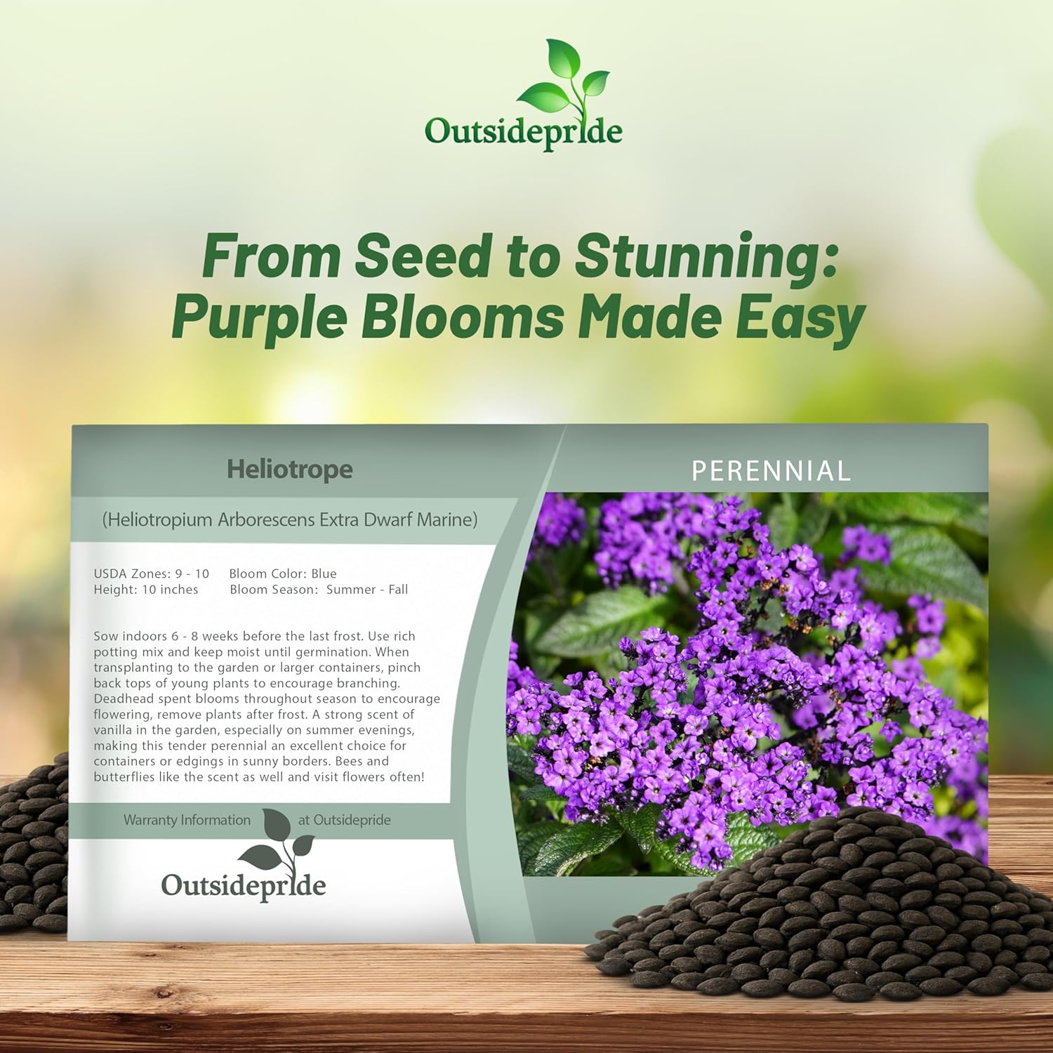 Heliotropium Flower Seed Packet