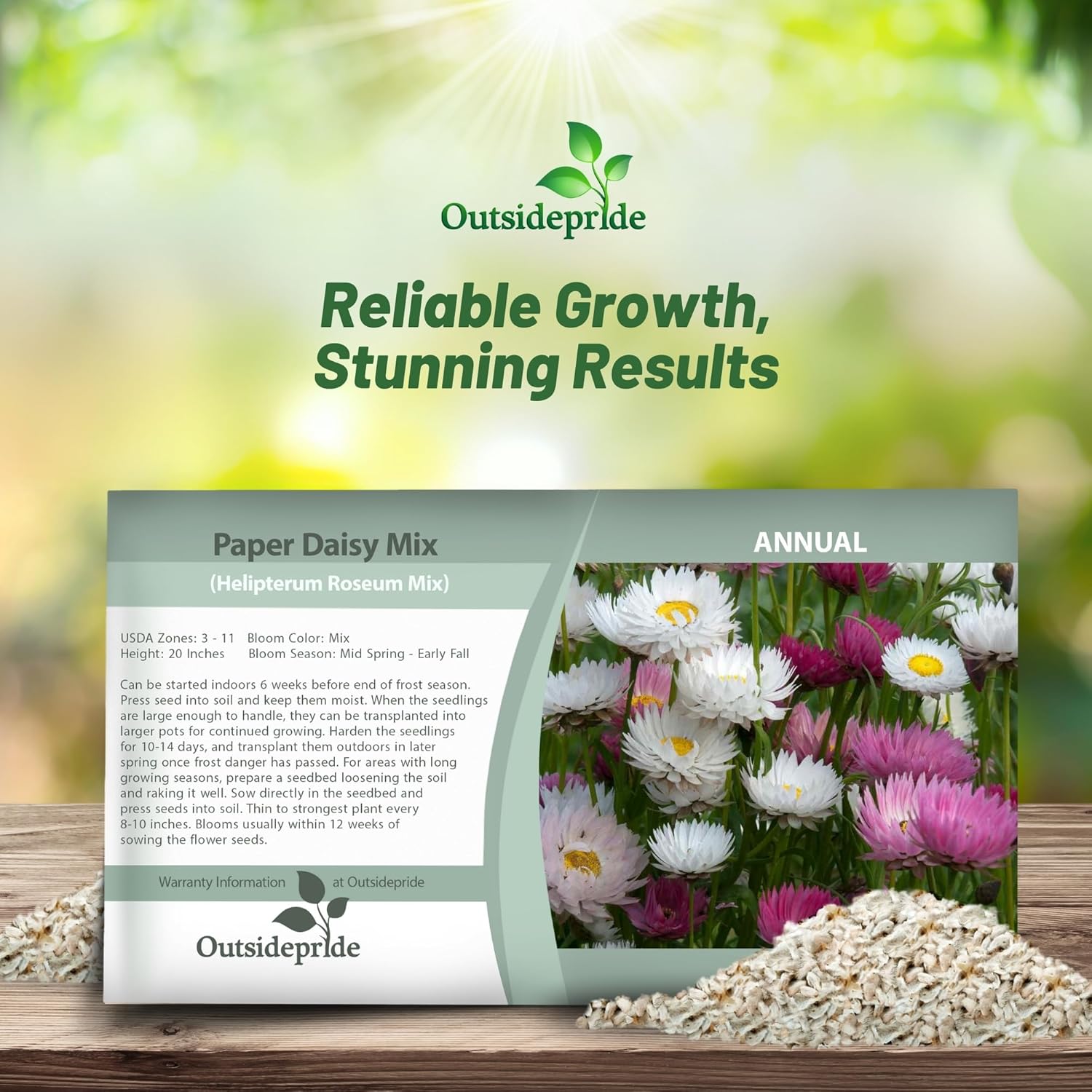 Helipterum Flower Seed Packet
