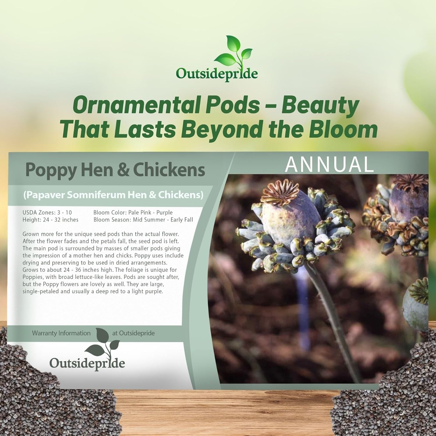 Poppy Hens & Chickens Seed Packet