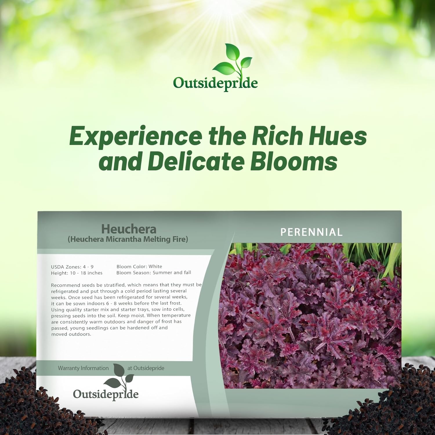 Heuchera Melting Fire Flower Seed Packet