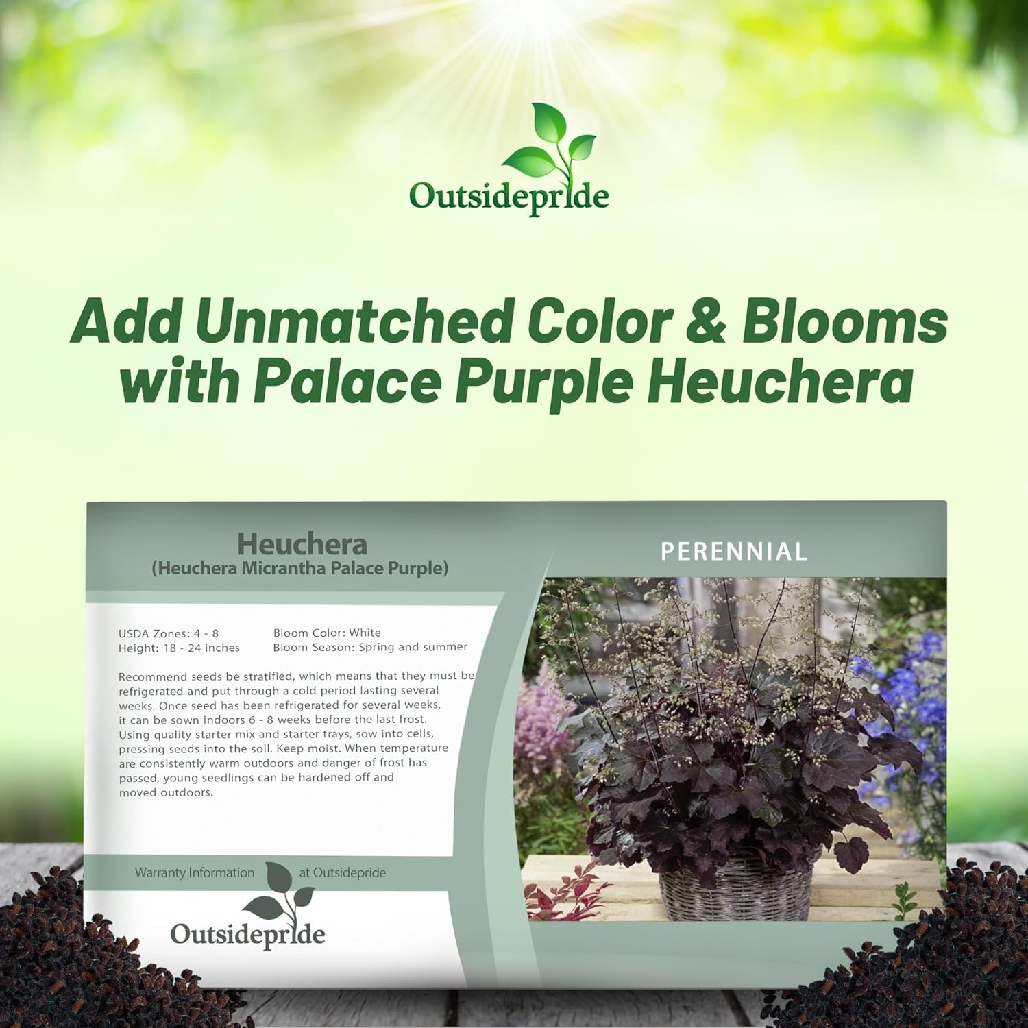 Heuchera Palace Purple Flower Seed Packet
