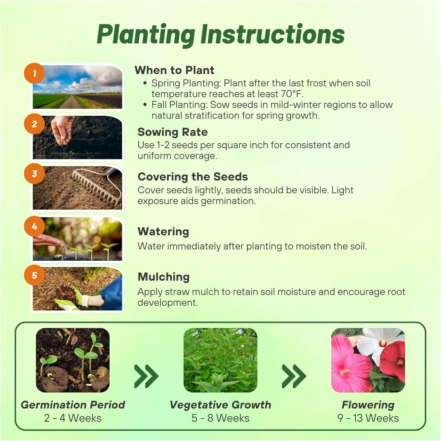 Hibiscus Luna Flower Seed Planting Directions