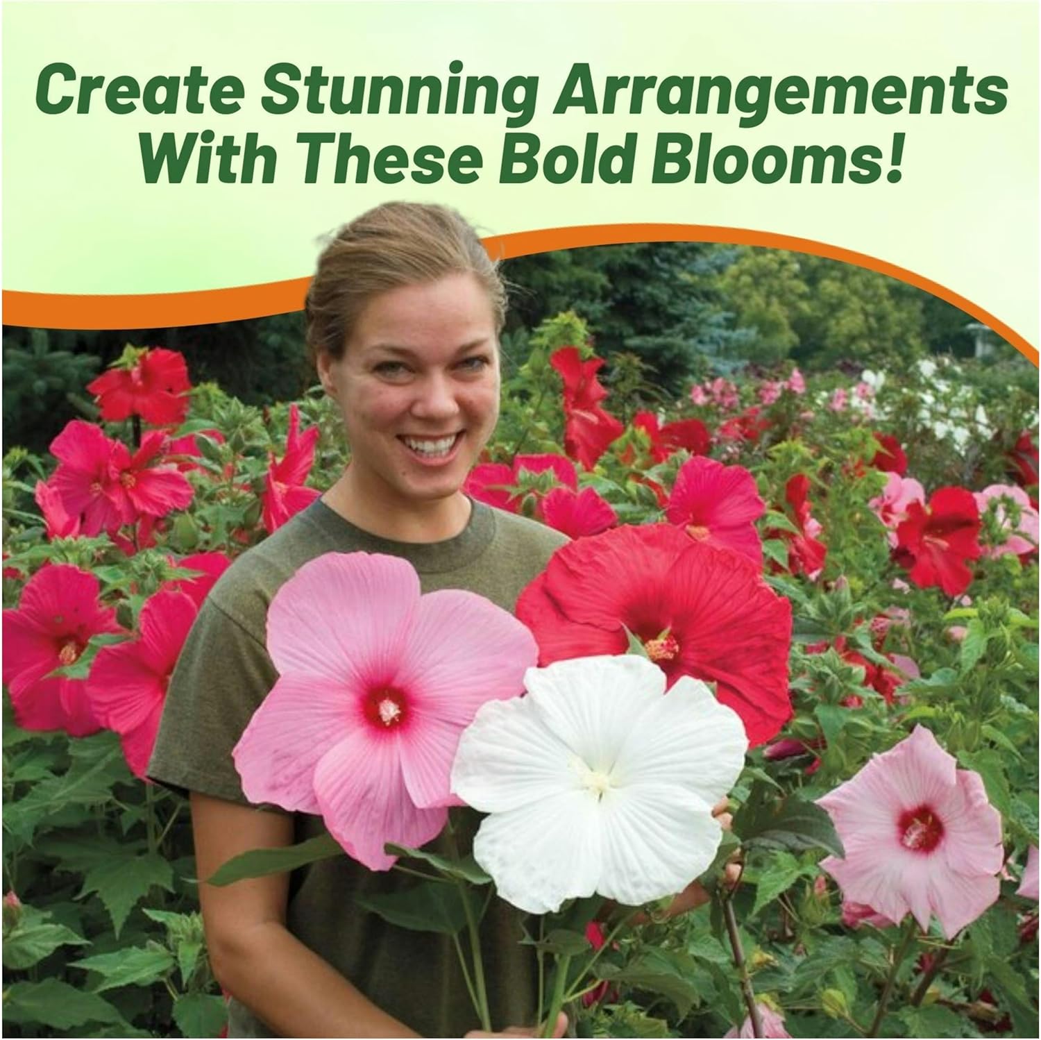 Hibiscus Luna Cut Flower Seed Mix