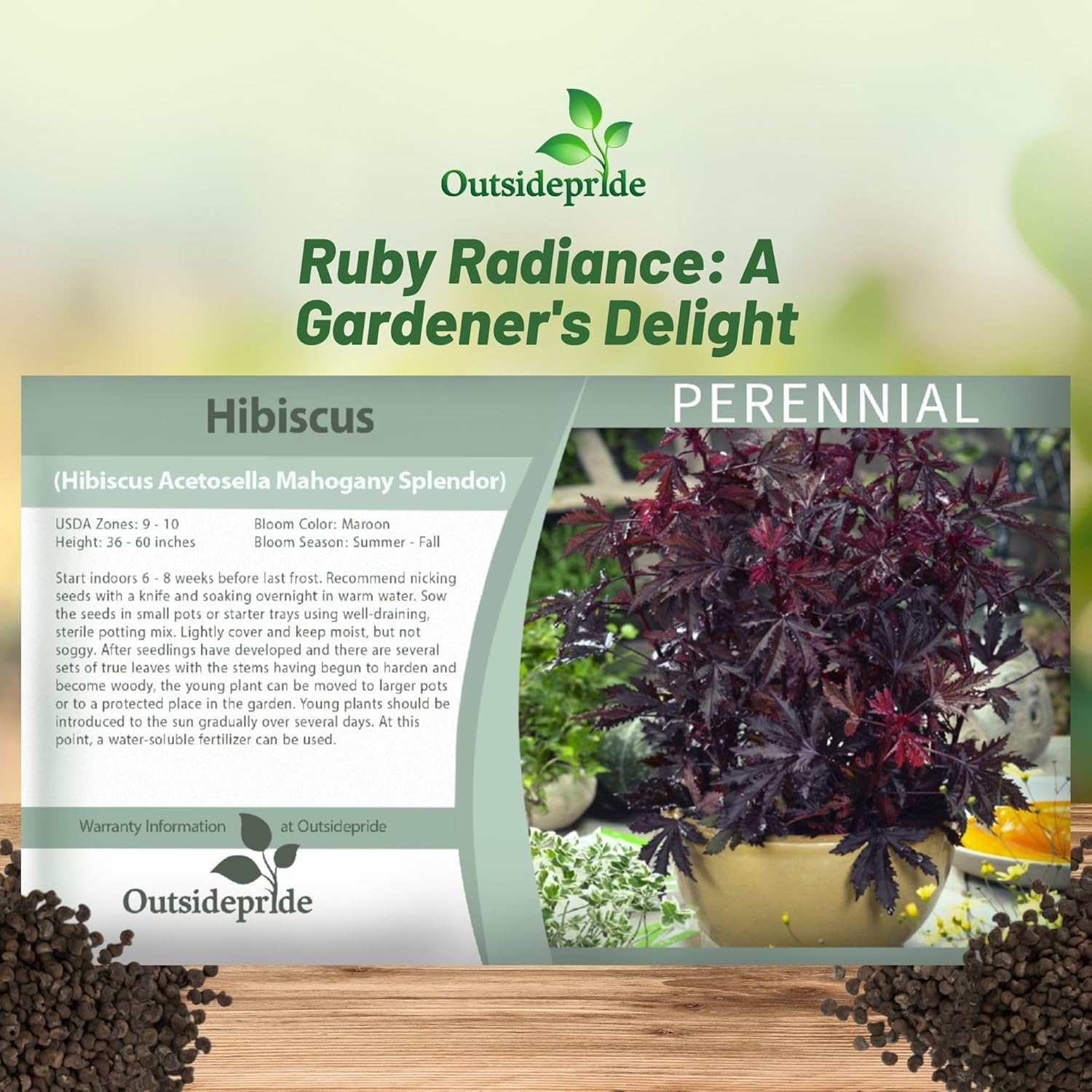 Hibiscus Mahogany Seed Packet