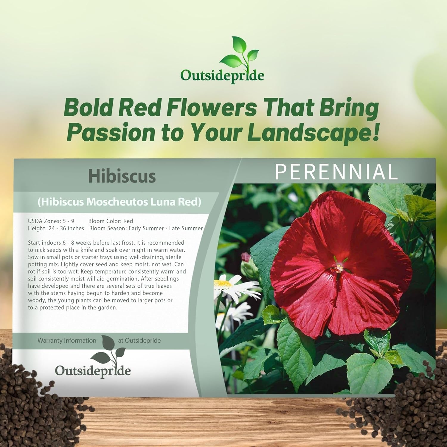 Hibiscus Red Seed Packet