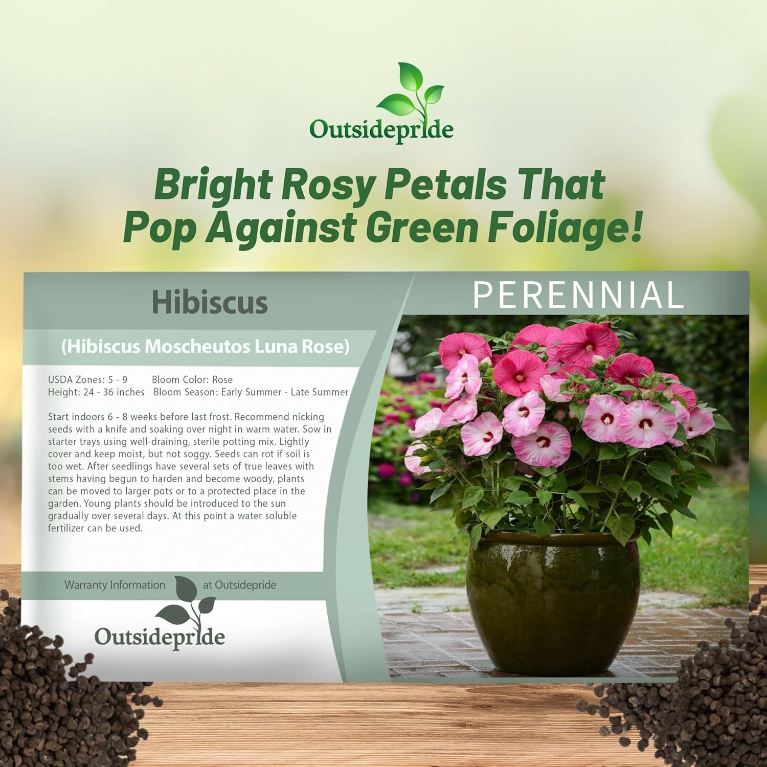 Hibiscus Luna Rose Seed Packet