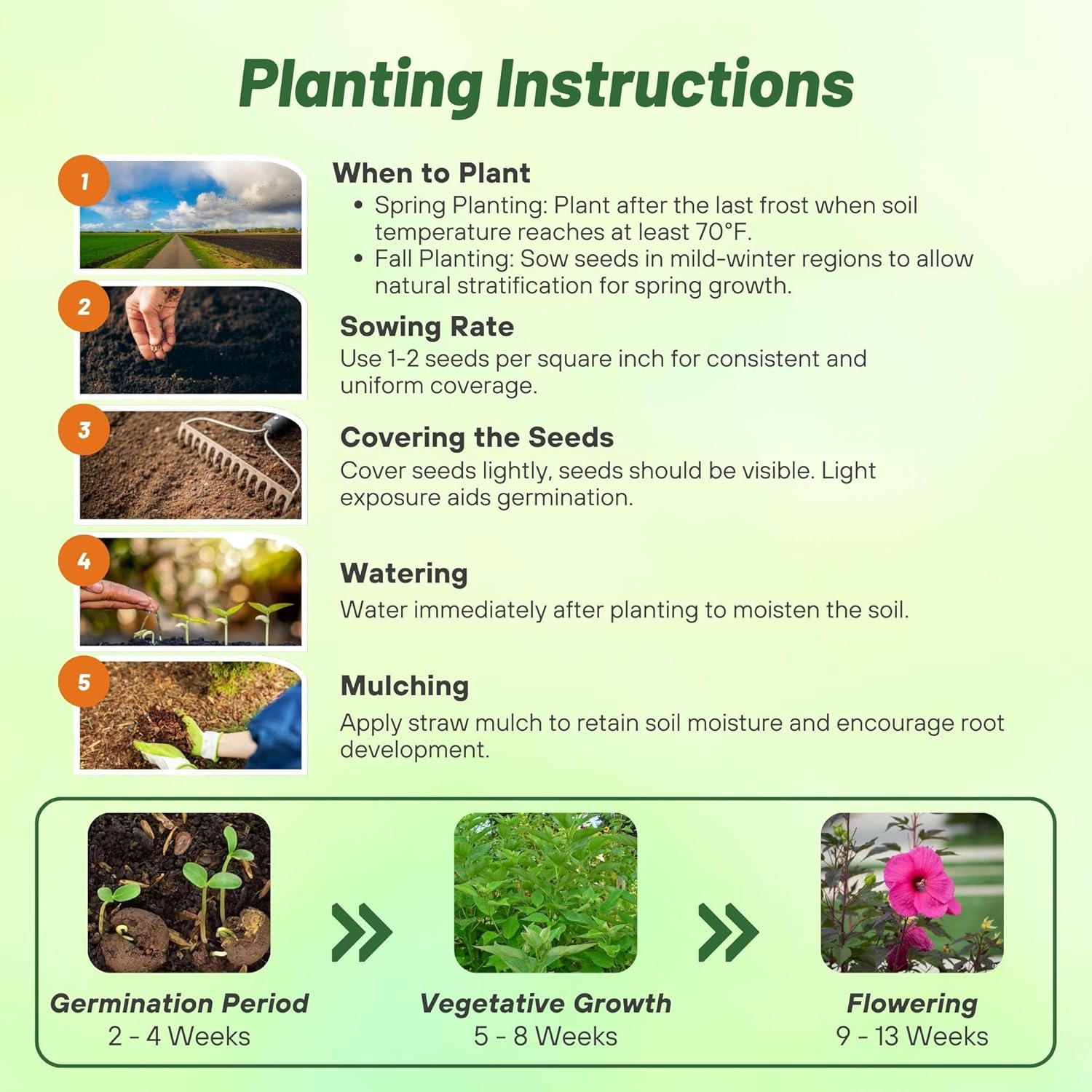 Hibiscus Luna Rose Planting Directions
