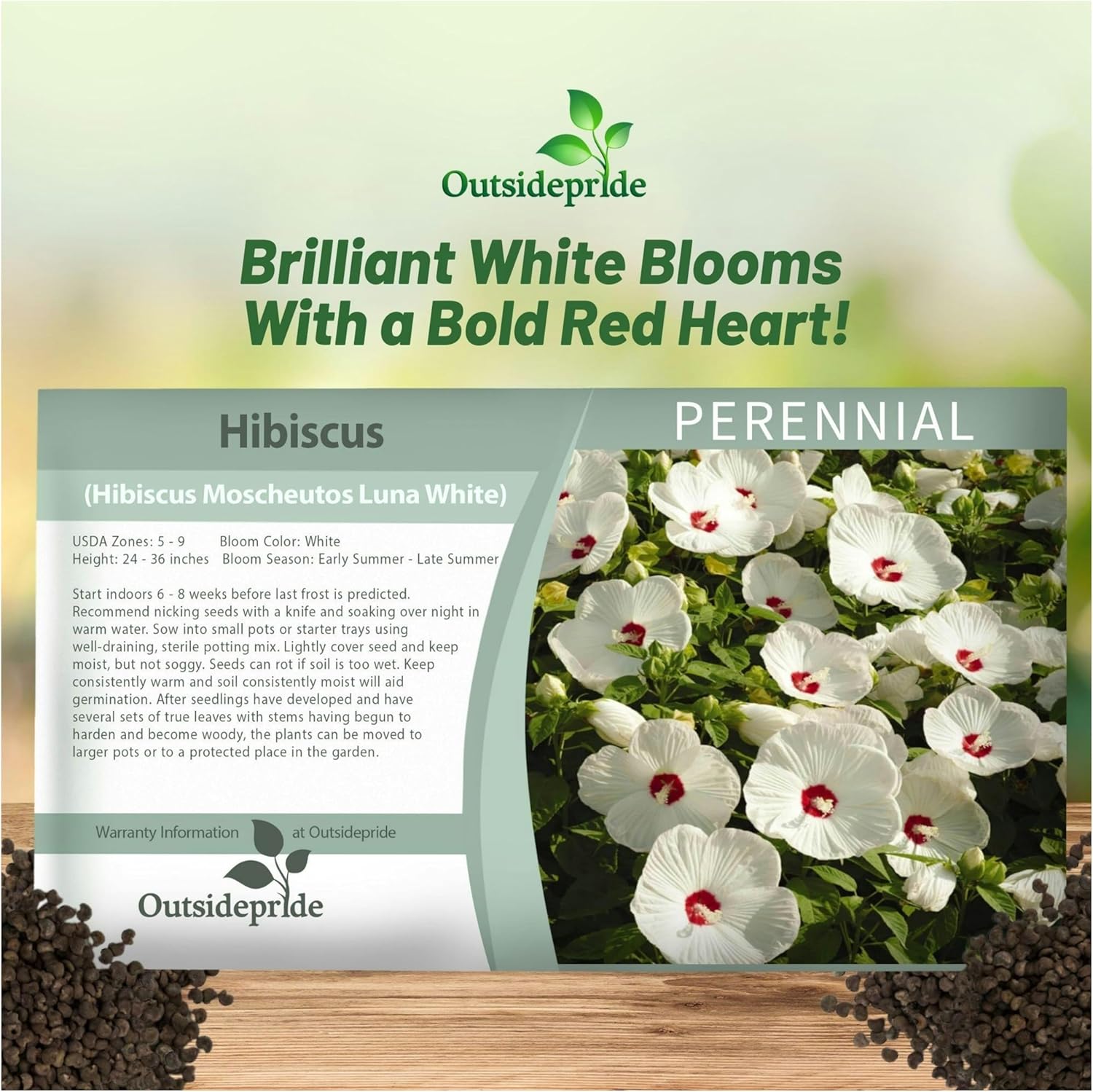 Hibiscus Luna White Flower Seed Packet