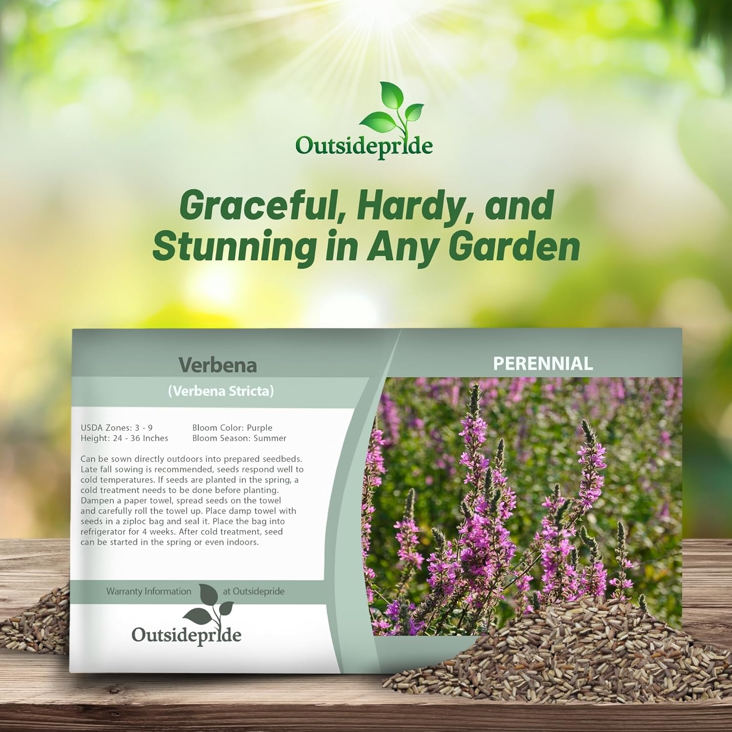 Hoary Vervain Seed Packet
