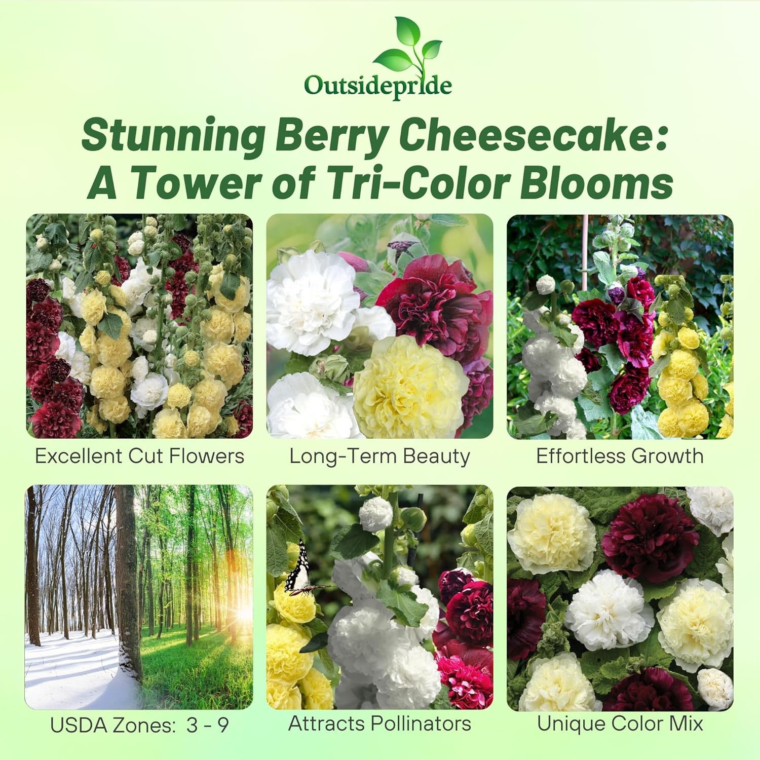 Alcea Rosea Berry Cheesecake