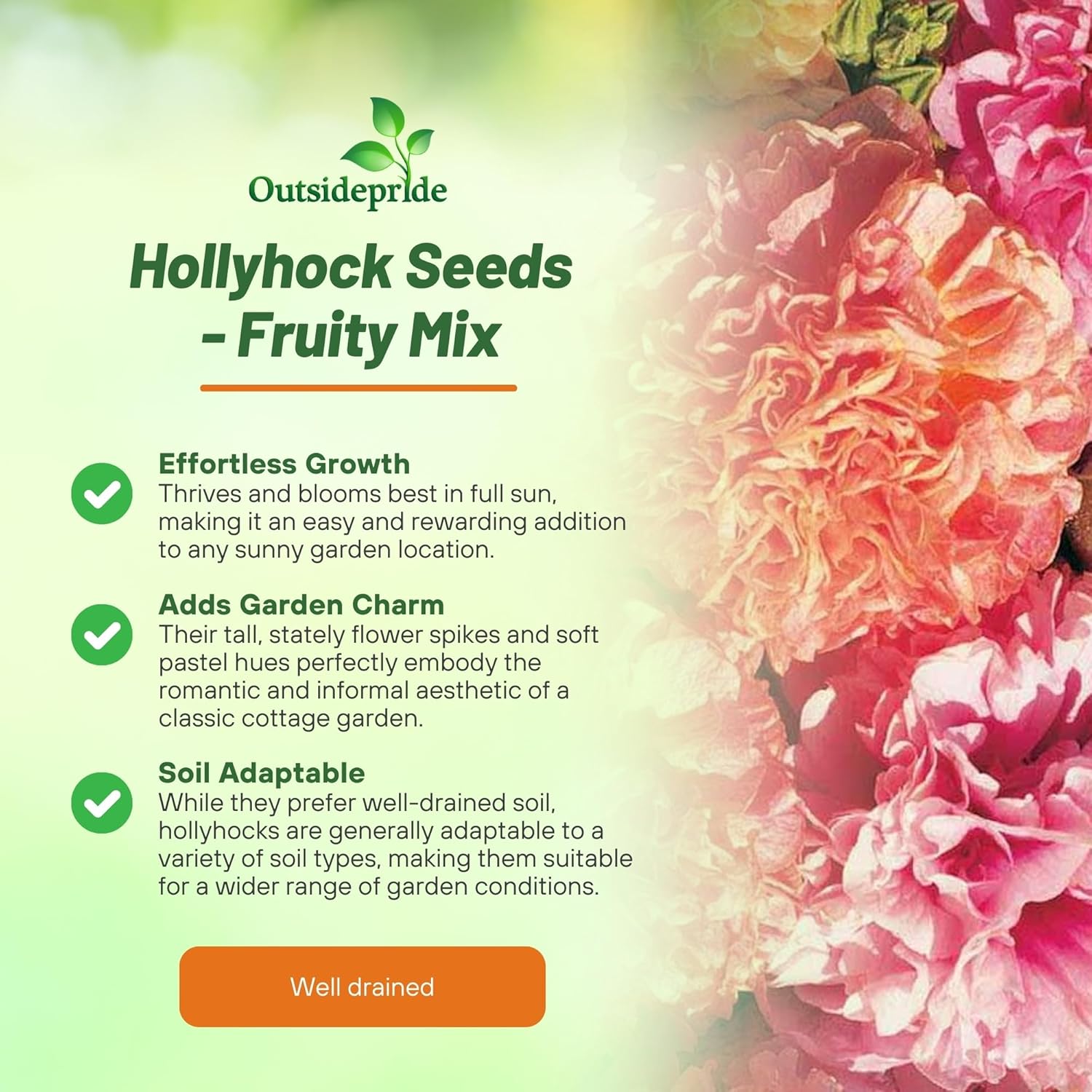 Alcea Rosea Fruity Mix Flower Seeds