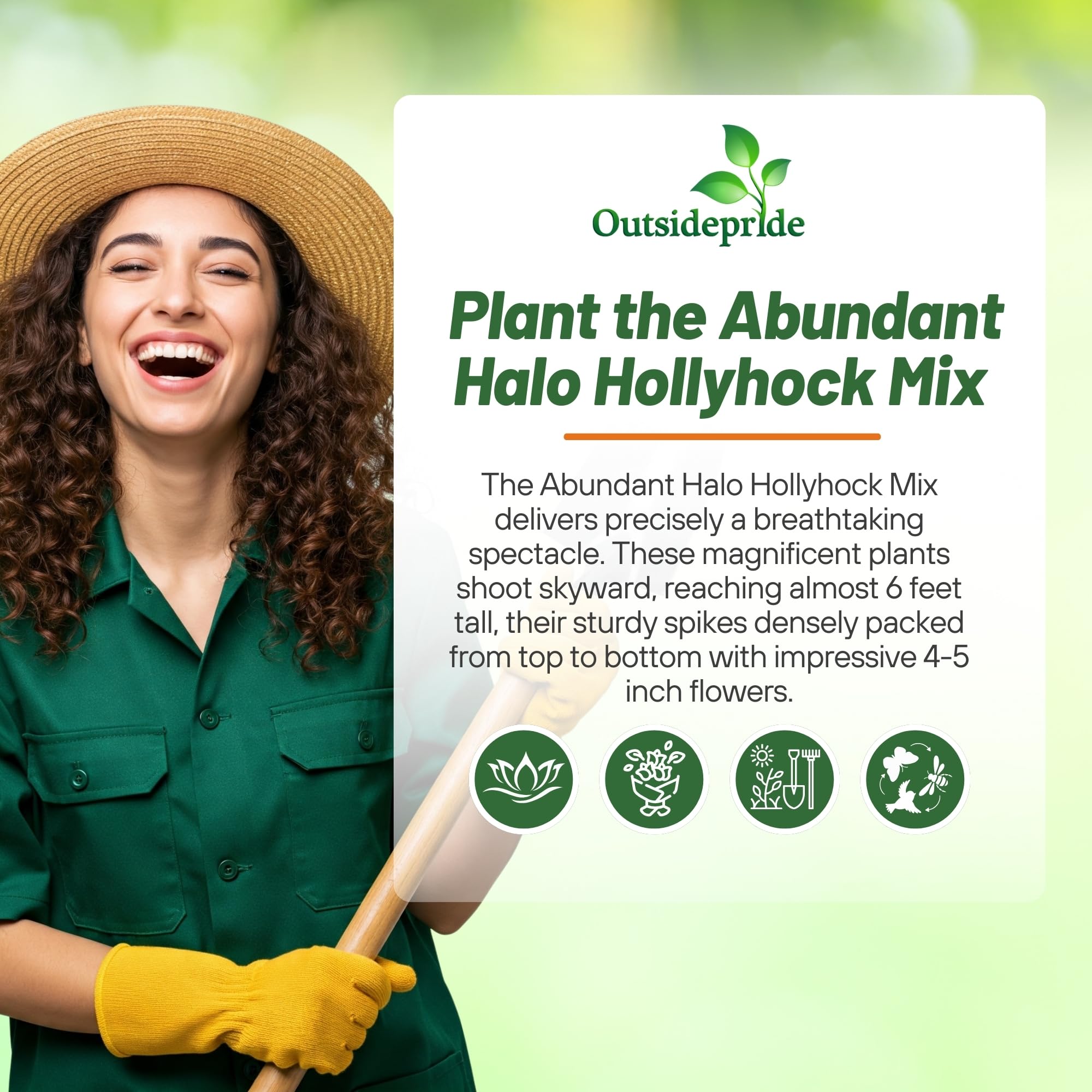 Halo Hollyhock Garden Mix
