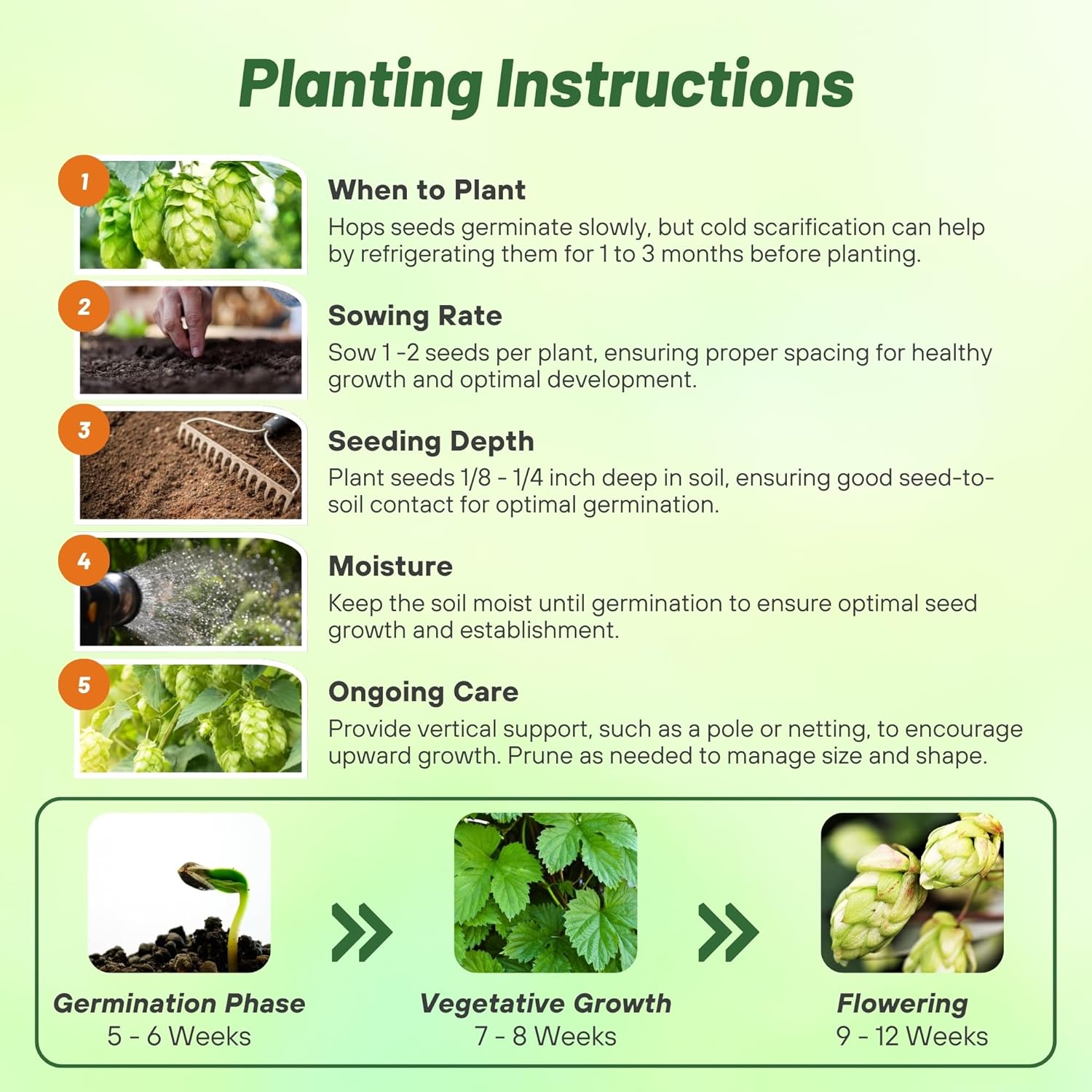 Hops Planting Directions