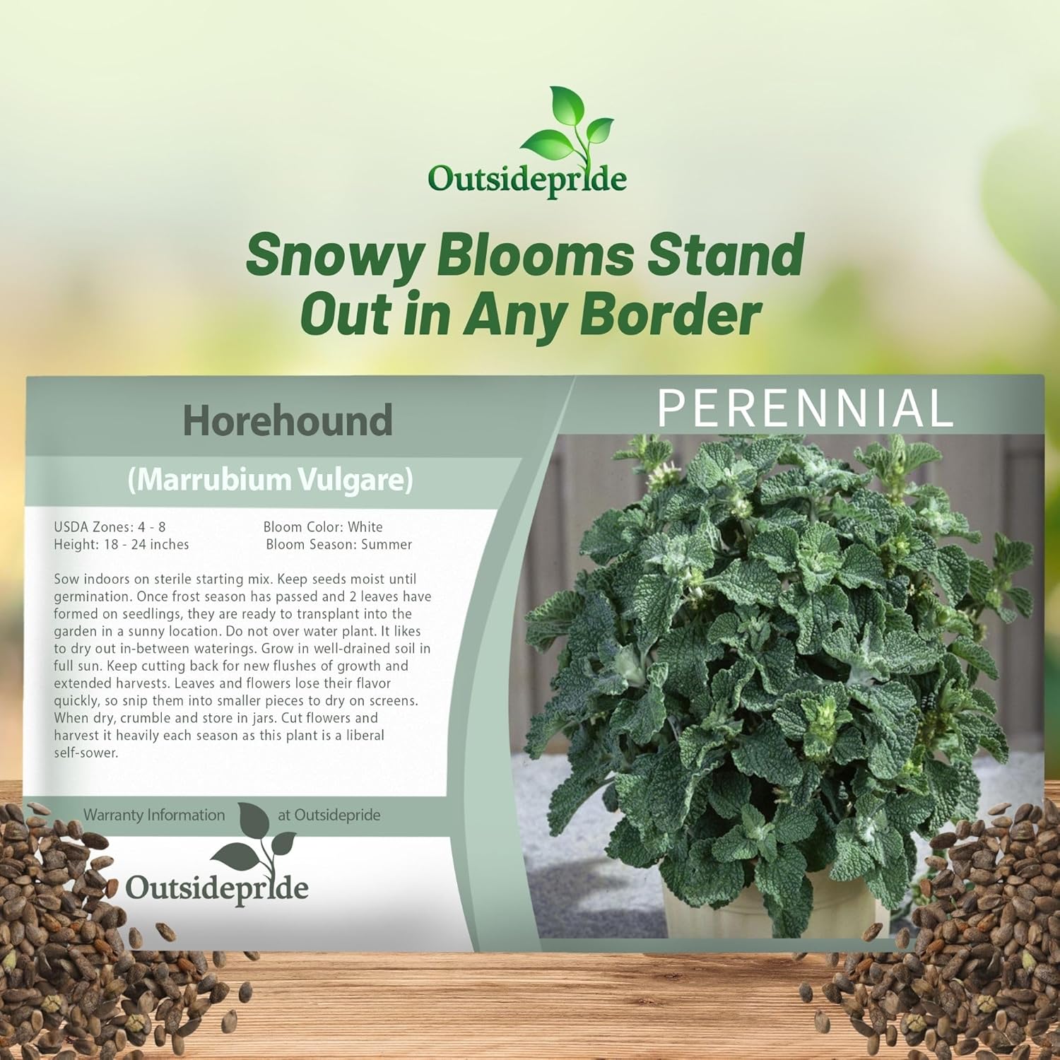 Horehound Herb Seed Packet