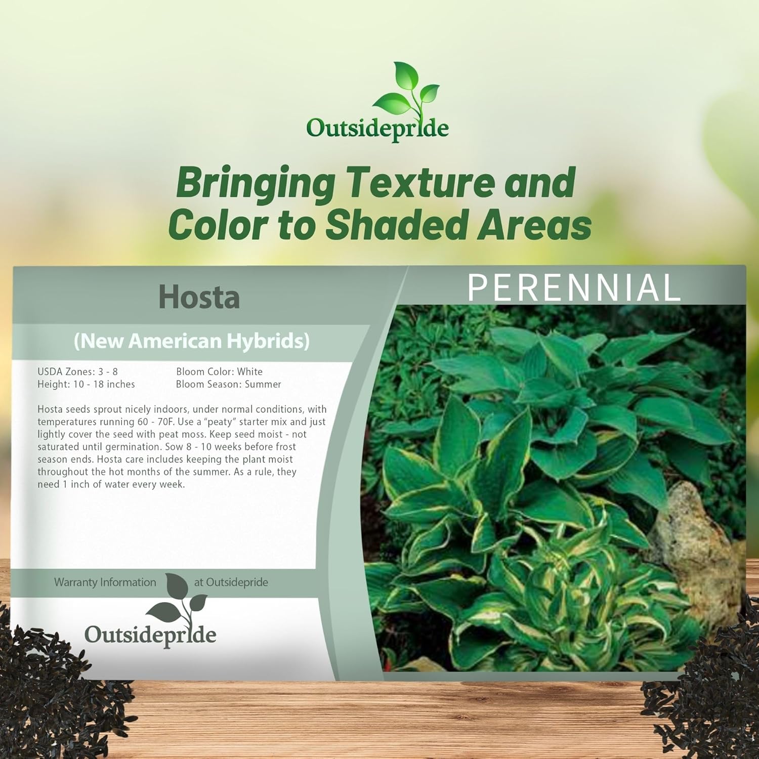 Hosta Seed Packet For Planting
