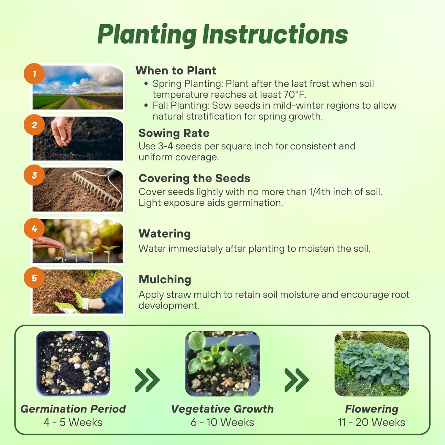 Hosta Seed Planting Directions