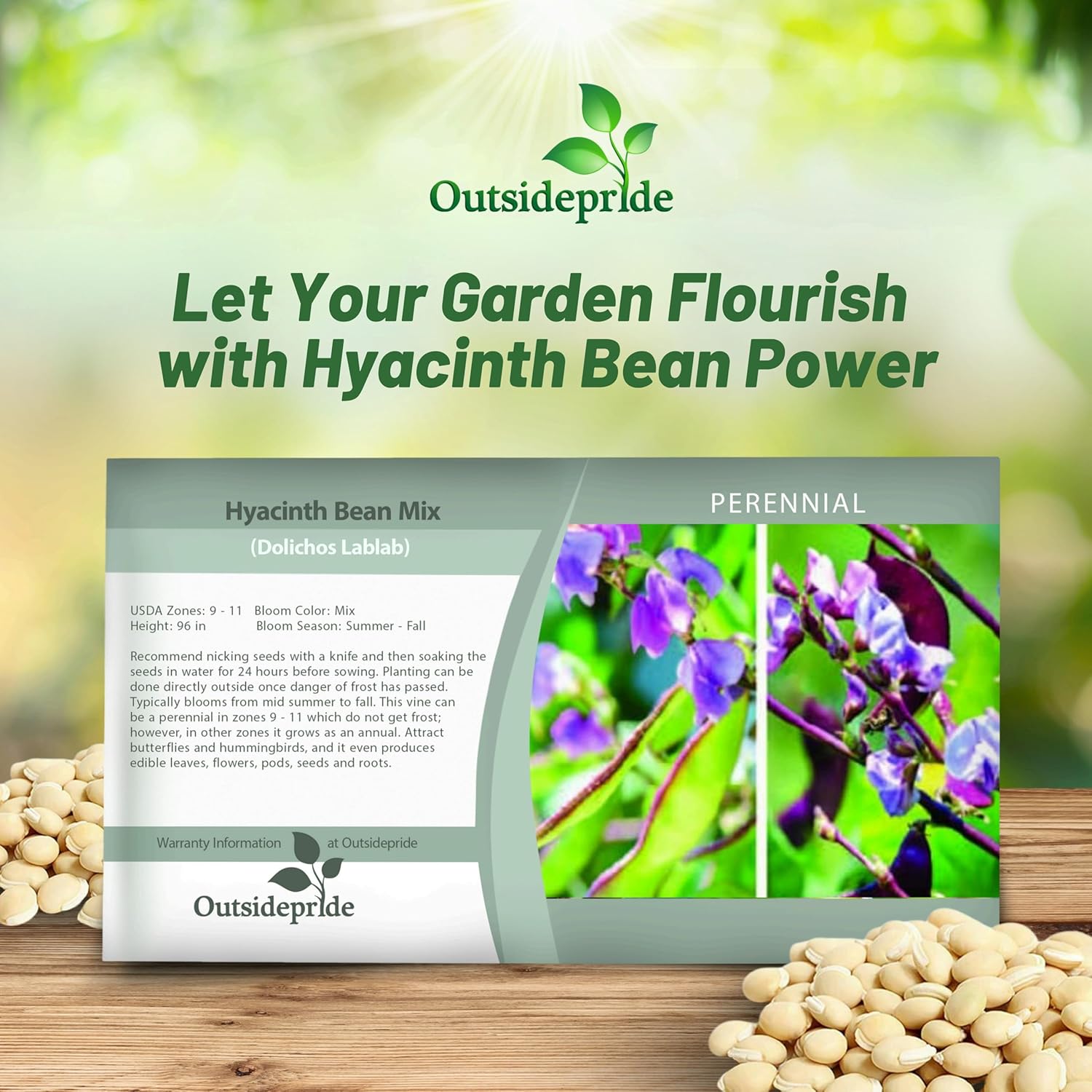 Hyacinth Bean Vine Seed Packet