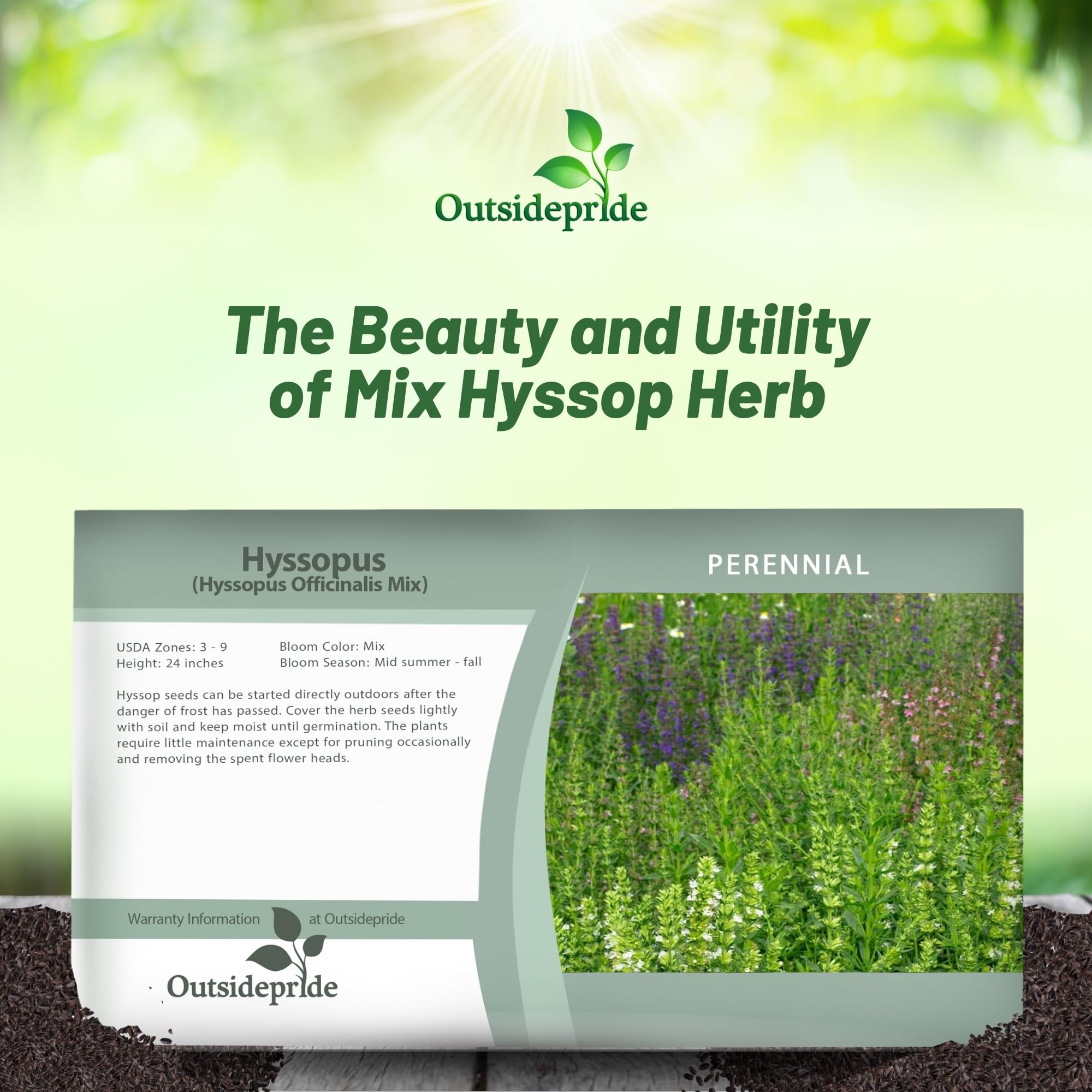 Hyssop Mix Herb Seed Packet