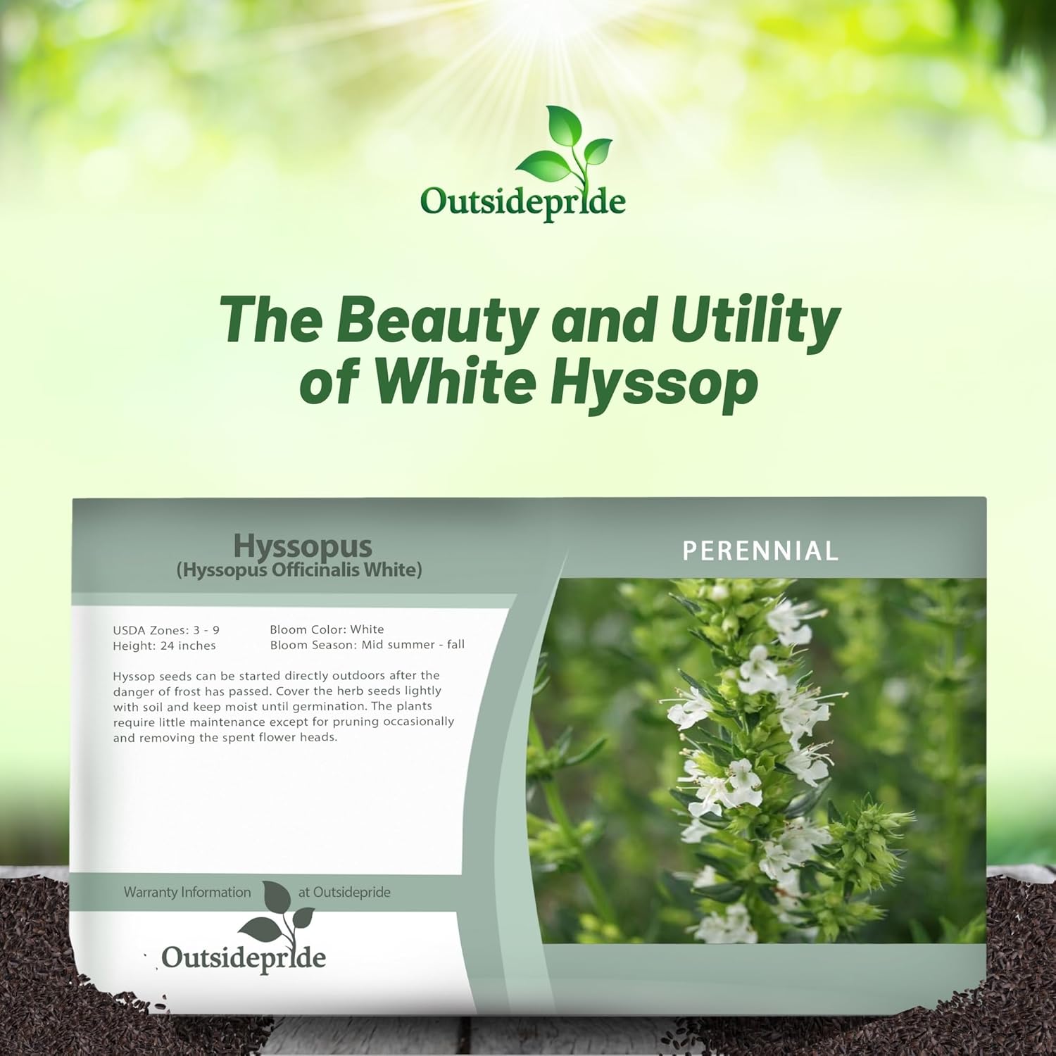 Hyssop White Herb Seed Packet