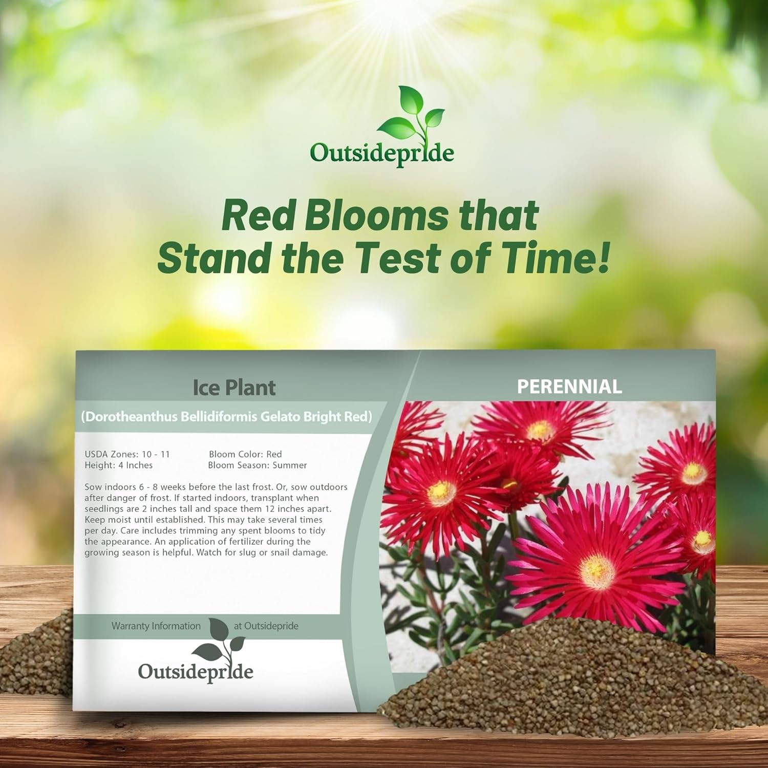 Ice Plant Red Groundcover Seed Packet