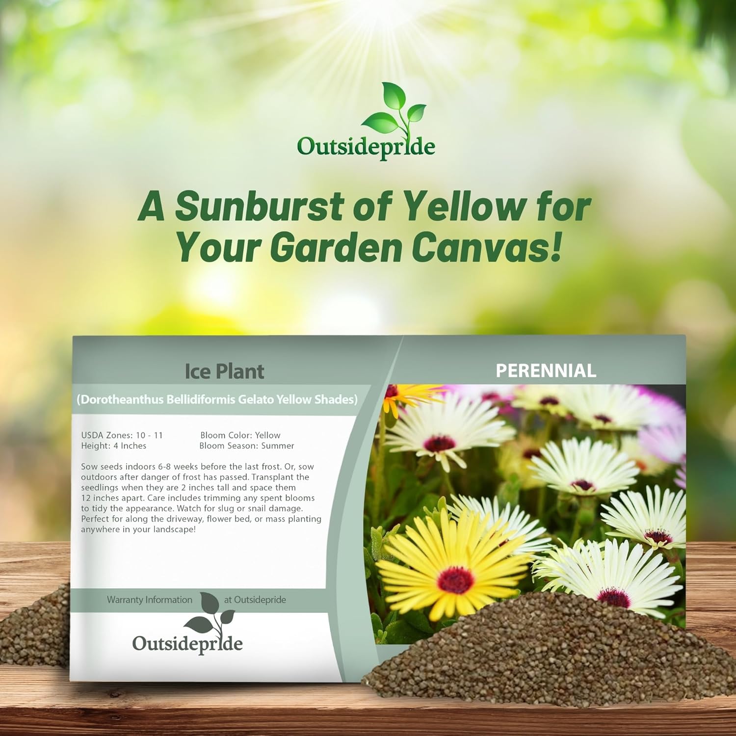 Livingstone Daisy Yellow Seed Packet
