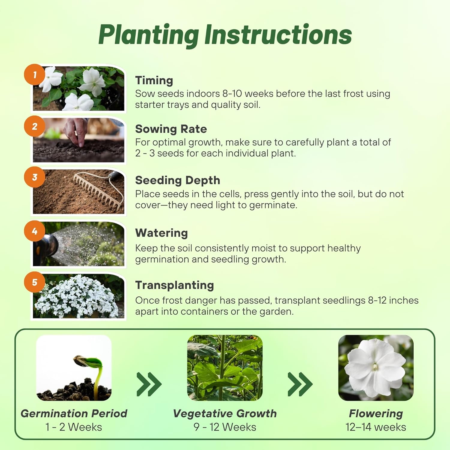 Impatiens Baby White Planting Directions