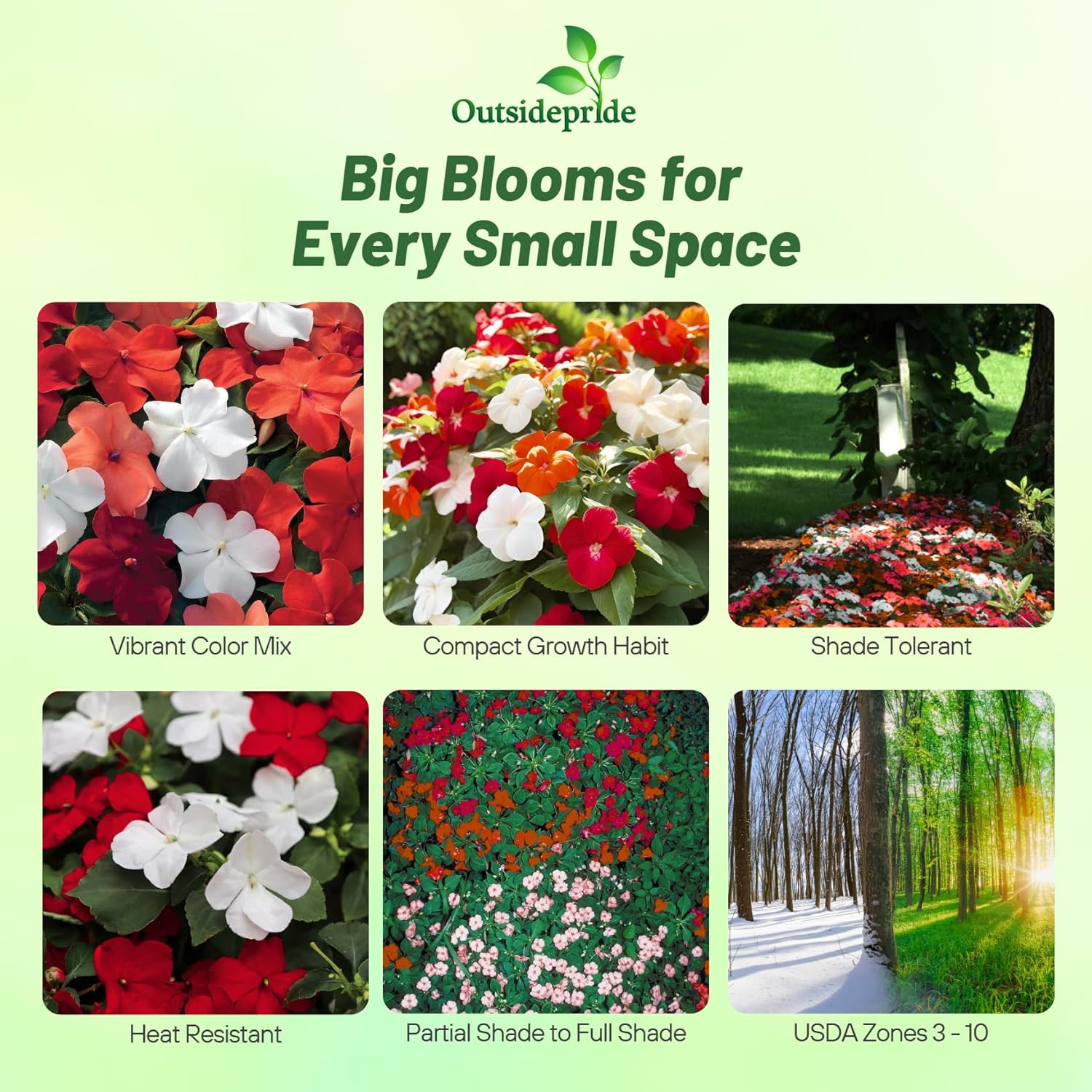 Impatiens Xtreme Hot Mix Containers