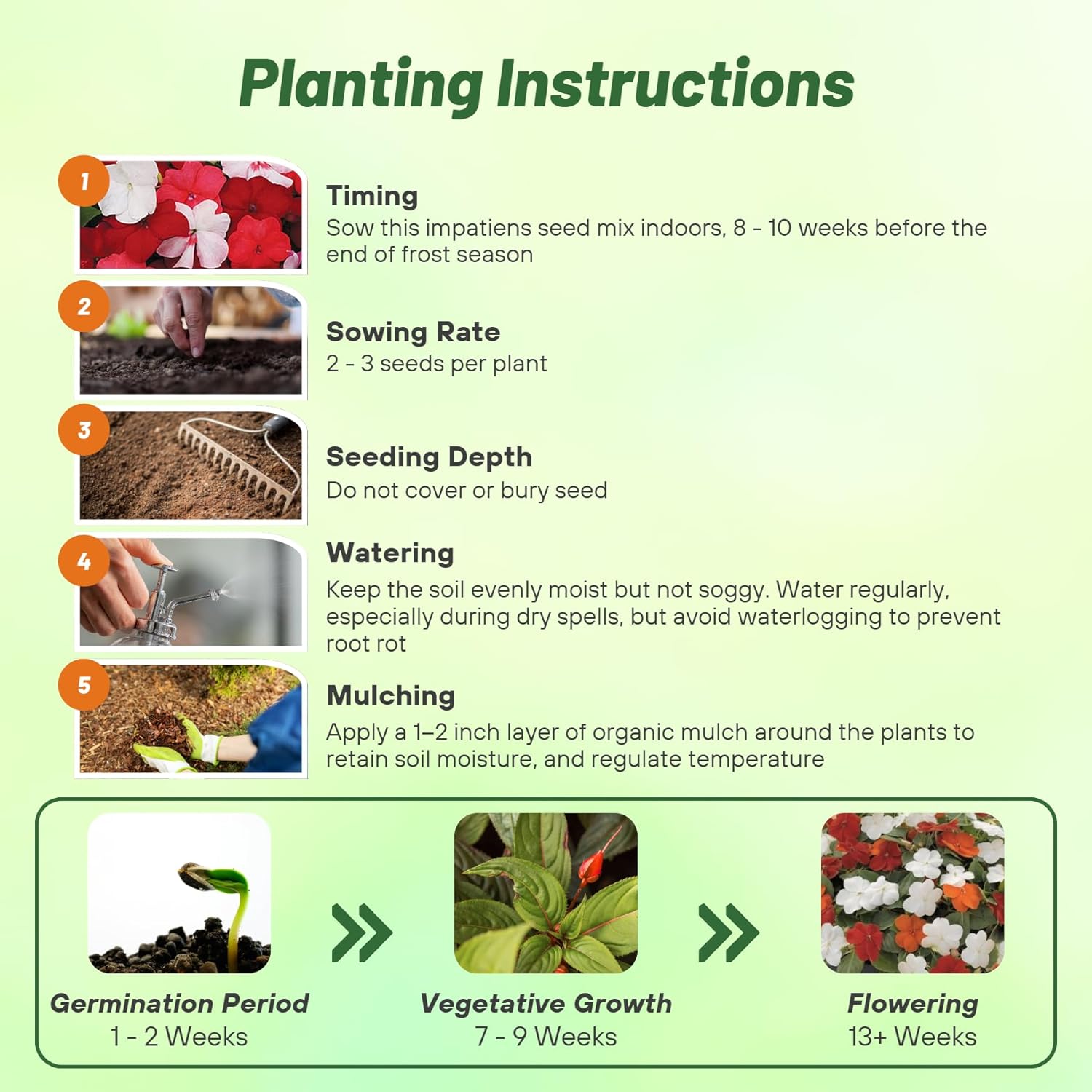 Impatiens Xtreme Hot Planting Directions