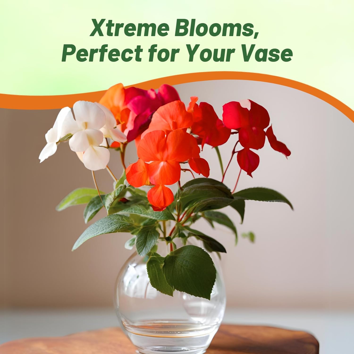 Impatiens Xtreme Hot Mix Flowers