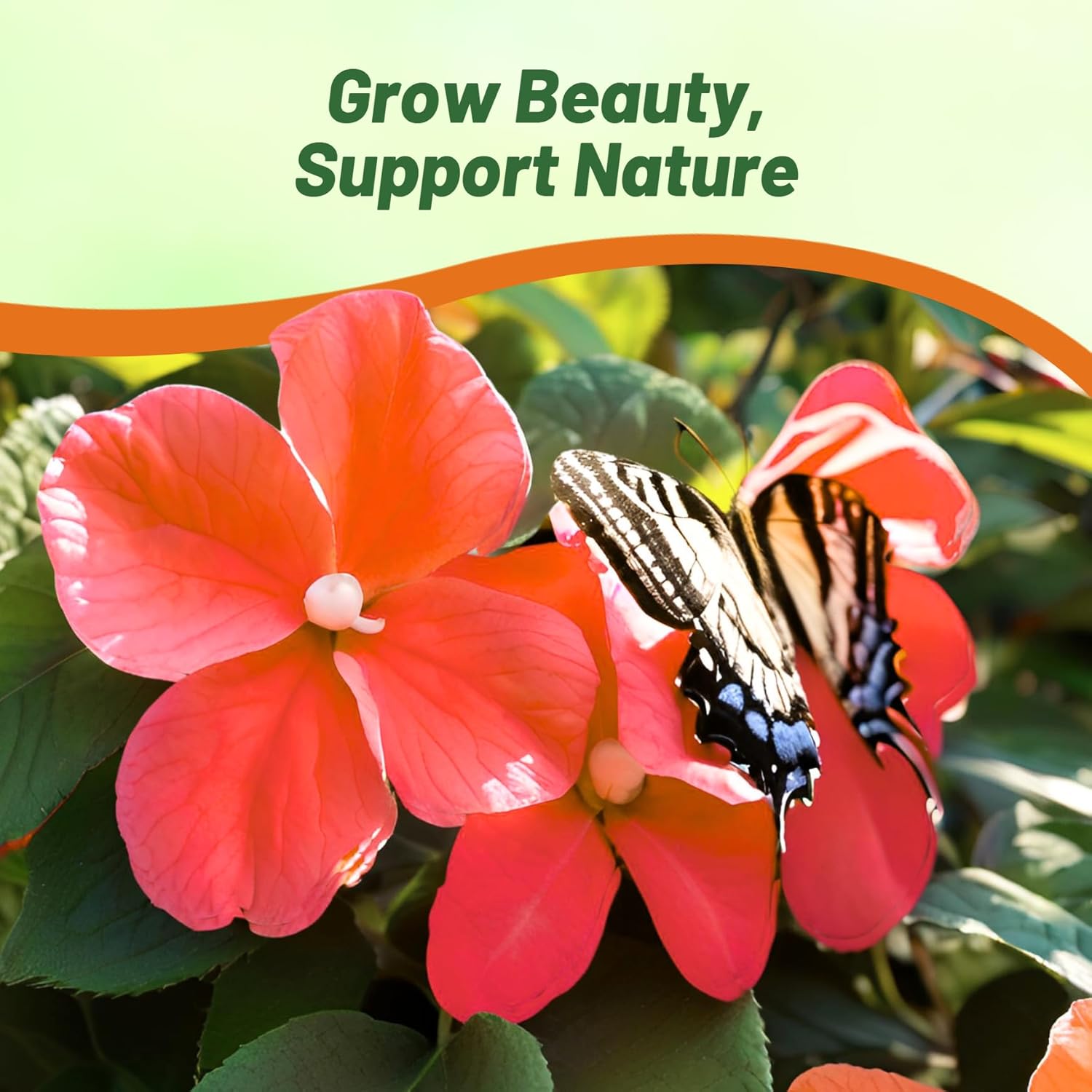 Impatiens Xtreme Hot Mix Flower Bed