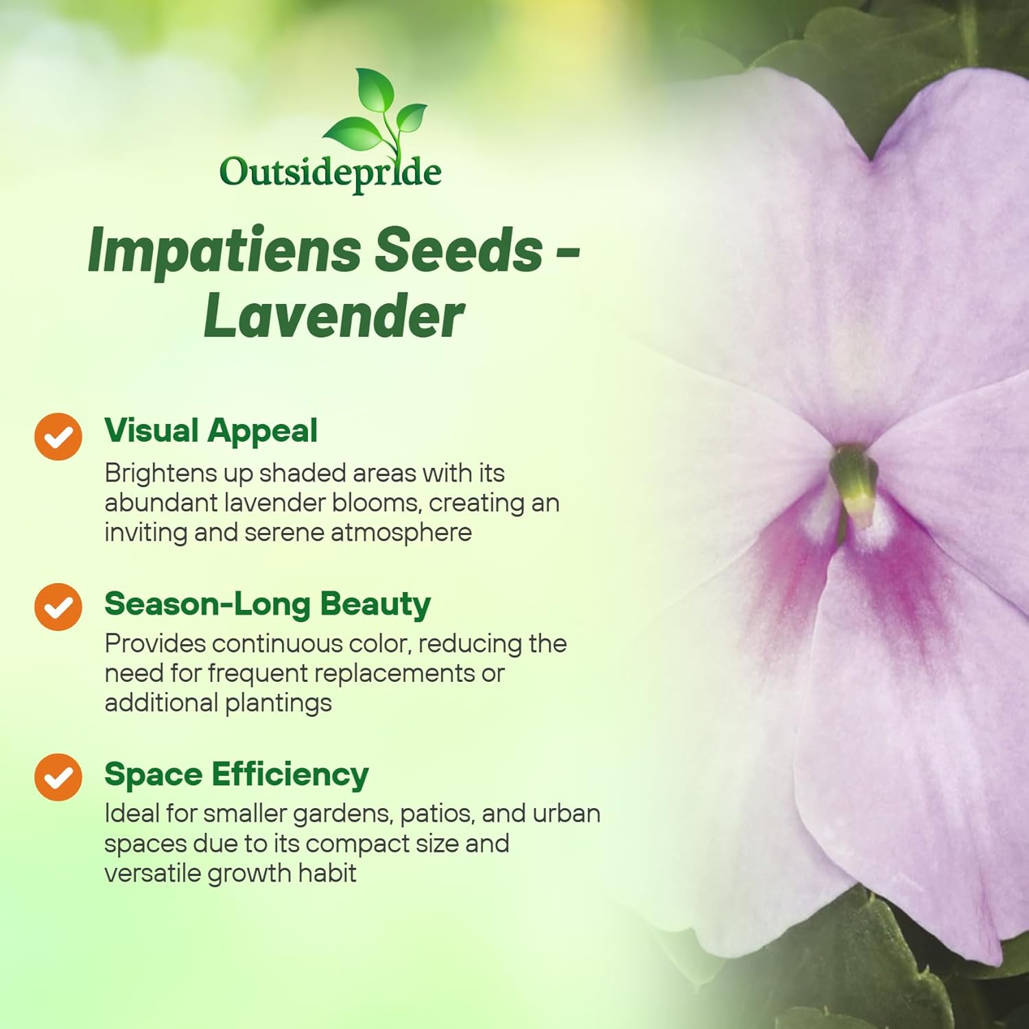 Impatiens Walleriana Extreme Lavender