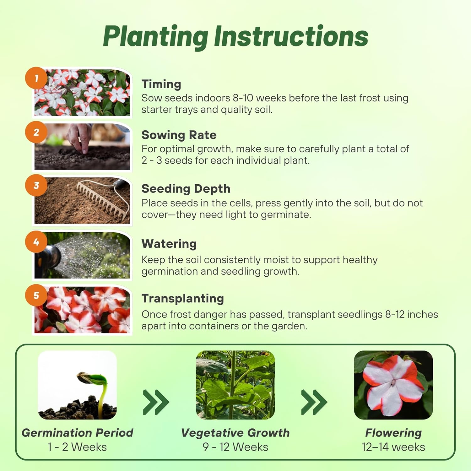 Impatiens Orange Star Planting Directions