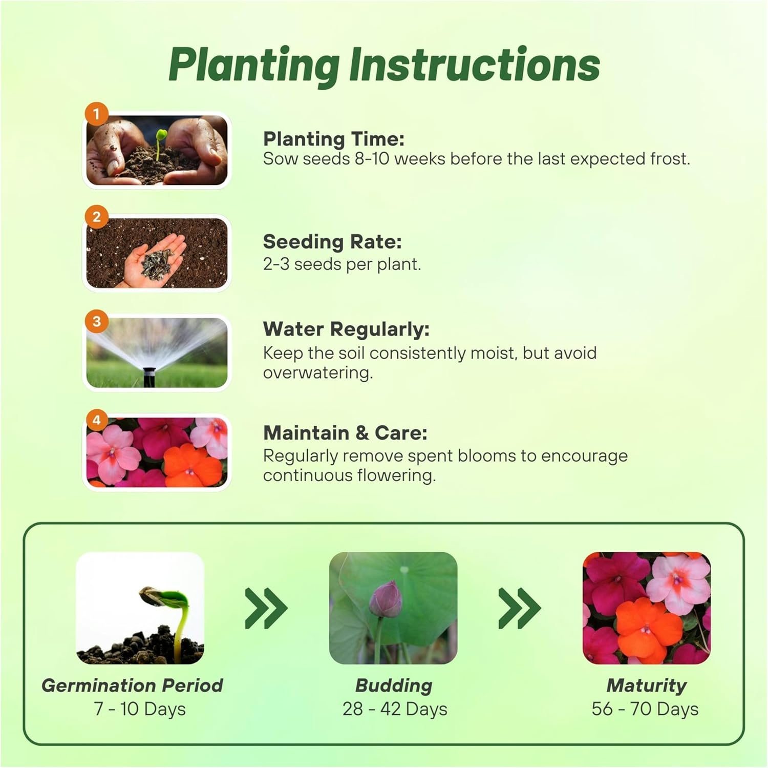 Impatiens Passionfruit Planting Directions