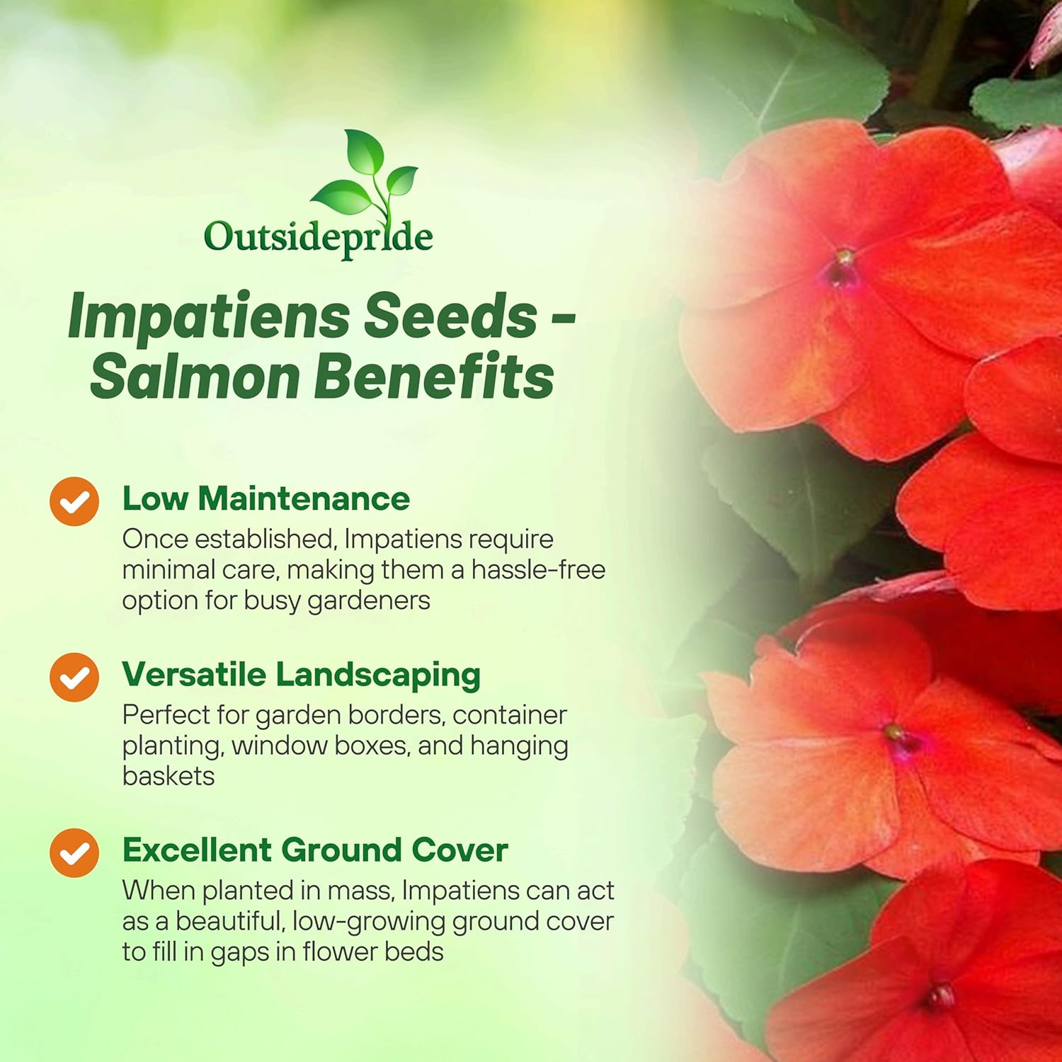 Impatiens Xtreme Salmon Hanging Basket