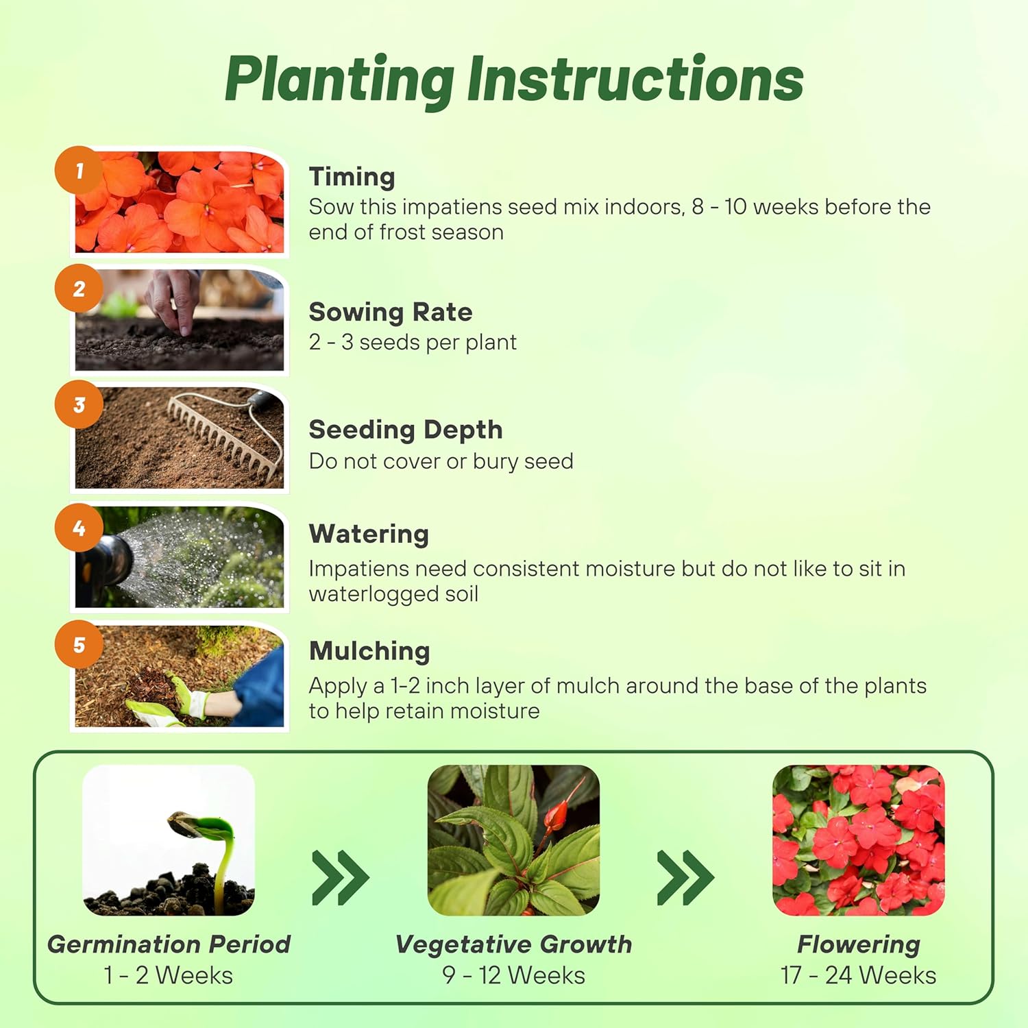 Impatiens Xtreme Salmon Planting Directions