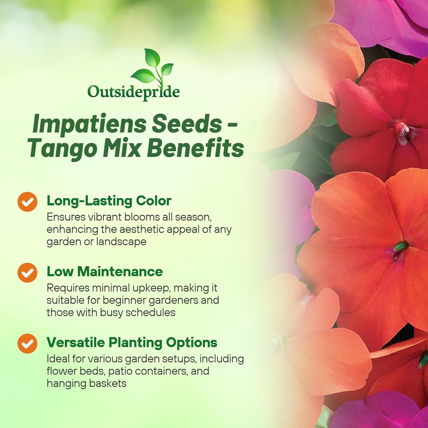 Impatiens Walleriana Xtreme Tango Mix