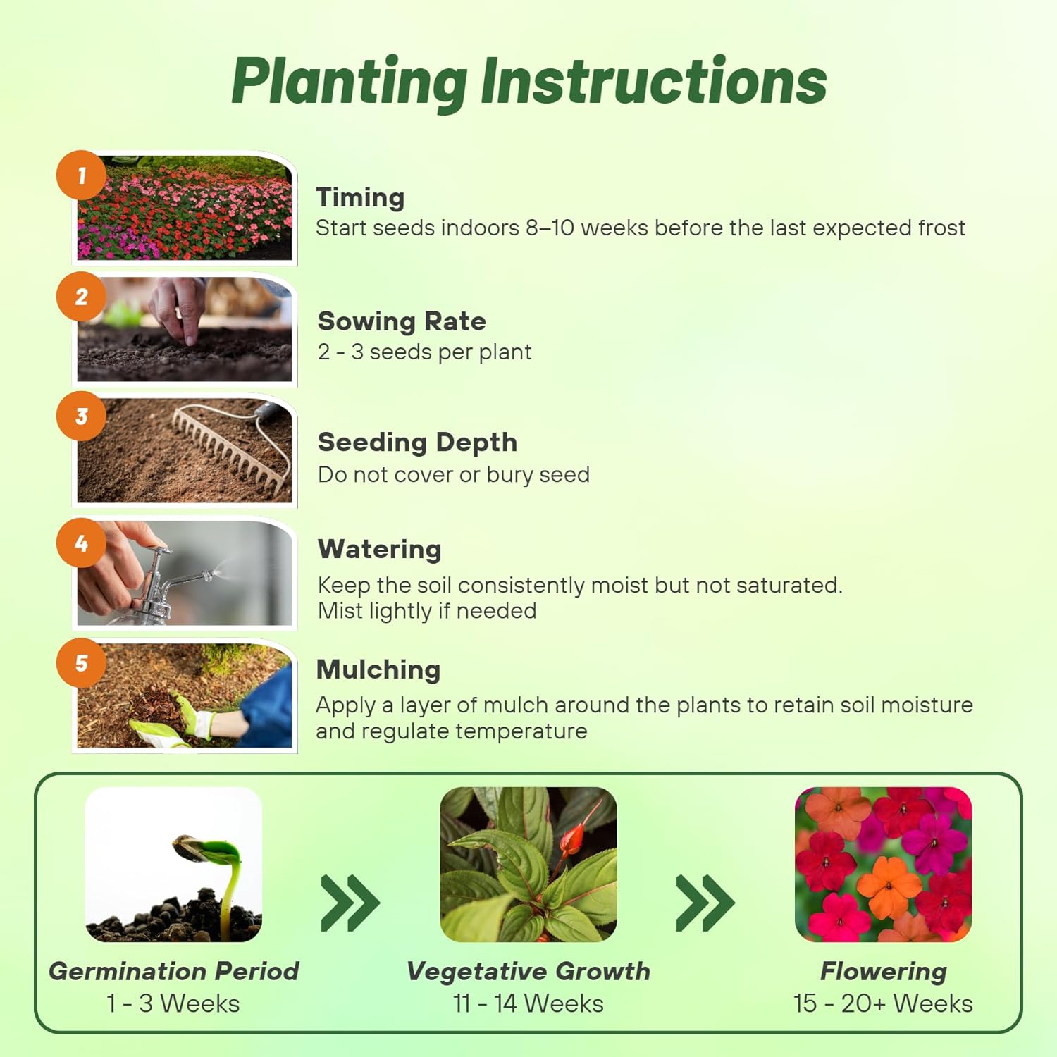 Impatiens Tango Planting Directions