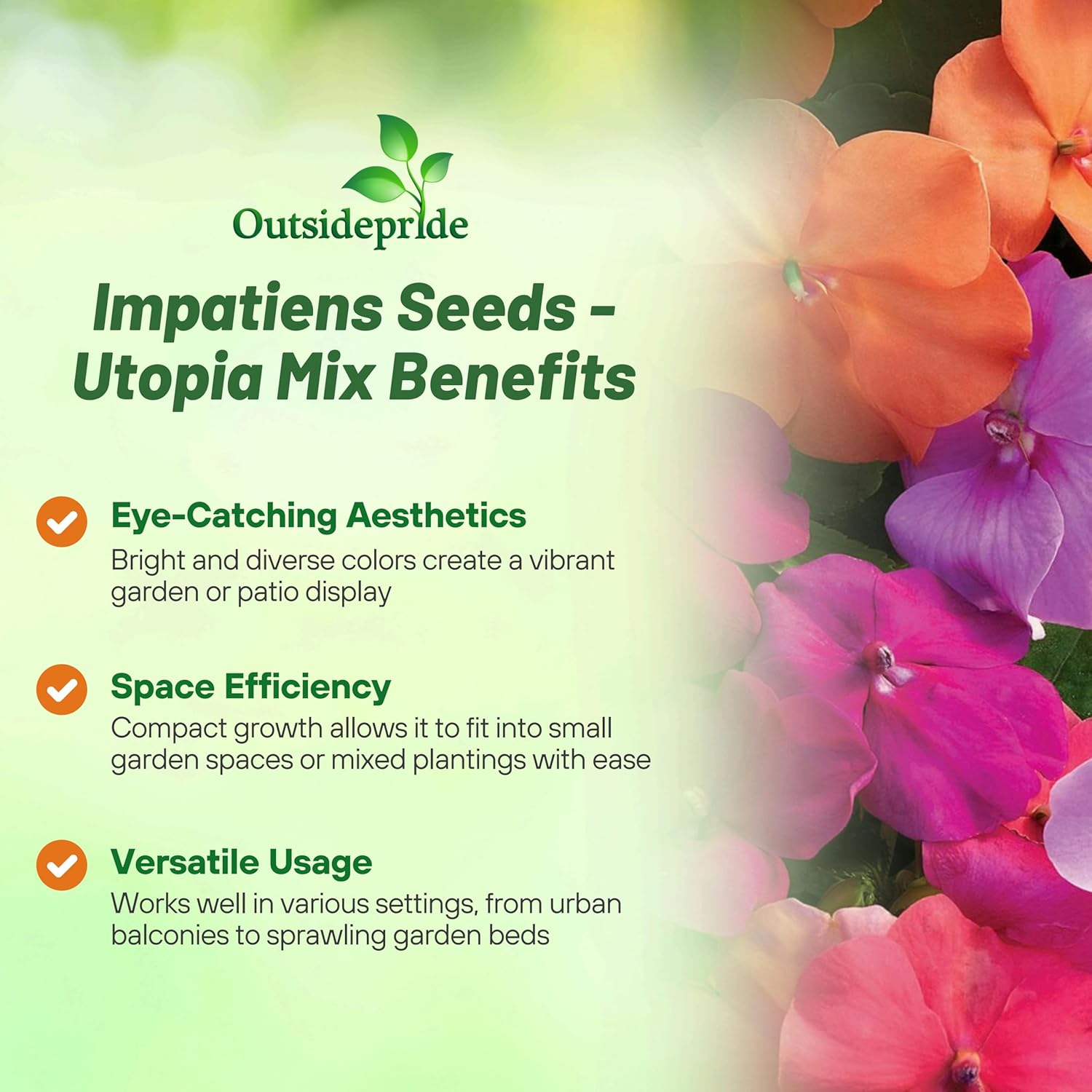 Impatiens Utopia Garden Flowers