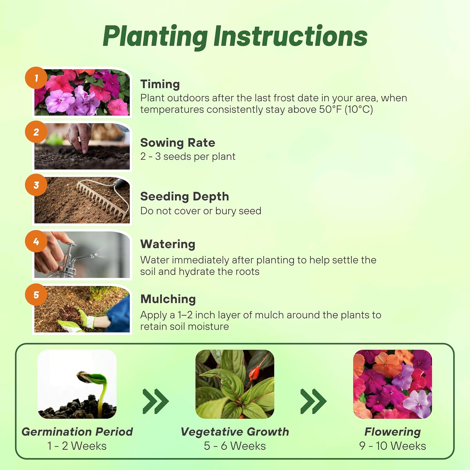Impatiens Utopia Planting Directions